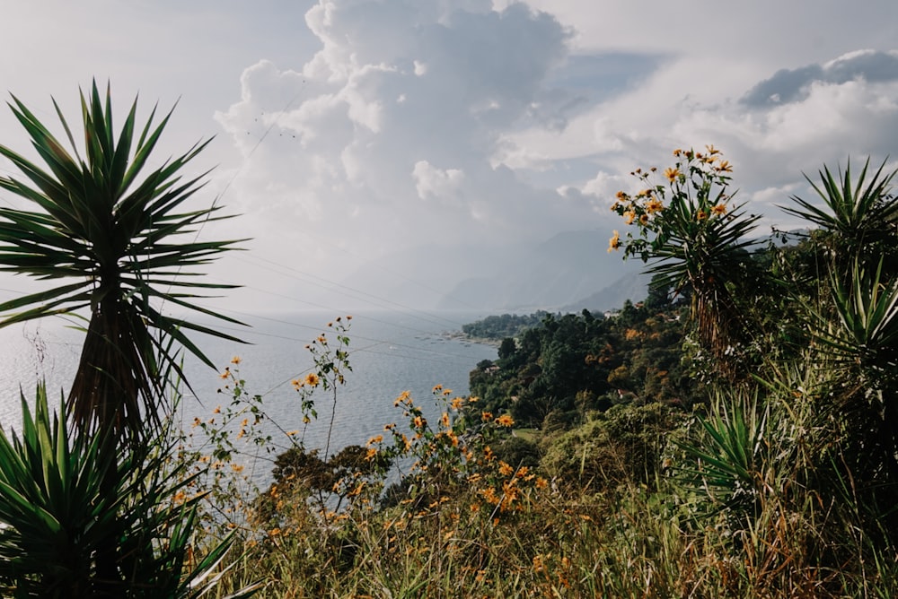 a view of a body of water from a hill