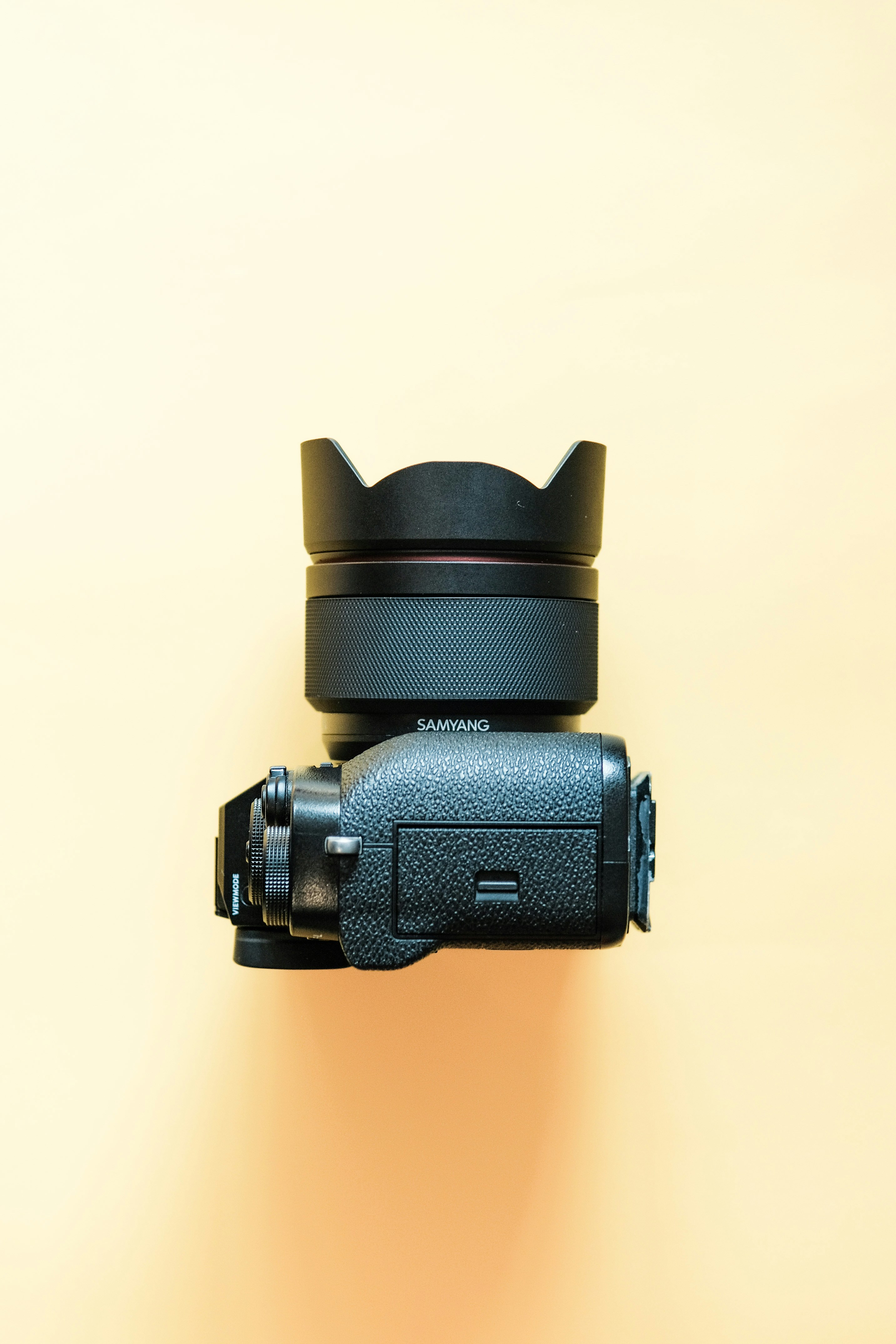 Photo by insungpandora