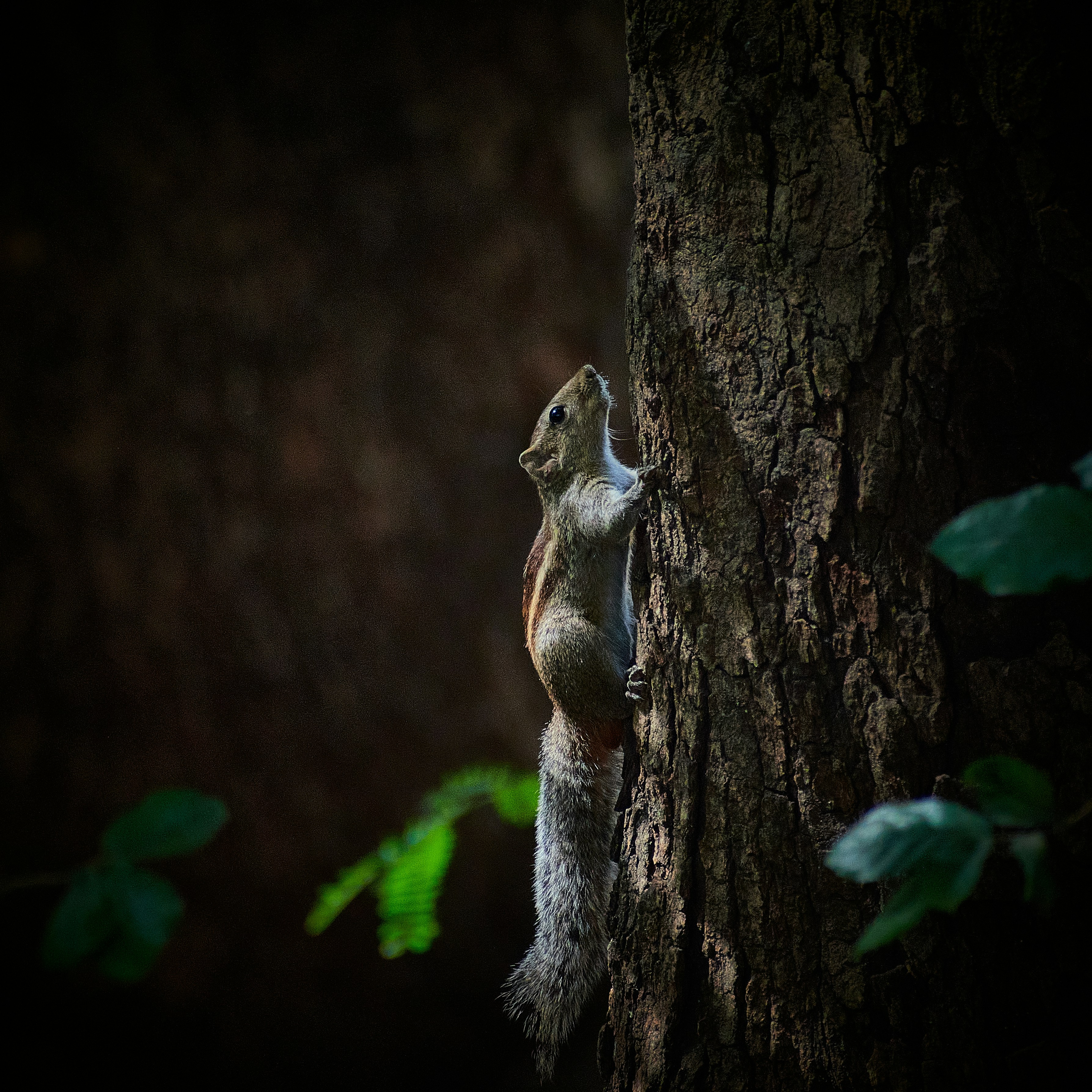 Photo by avinash_1612