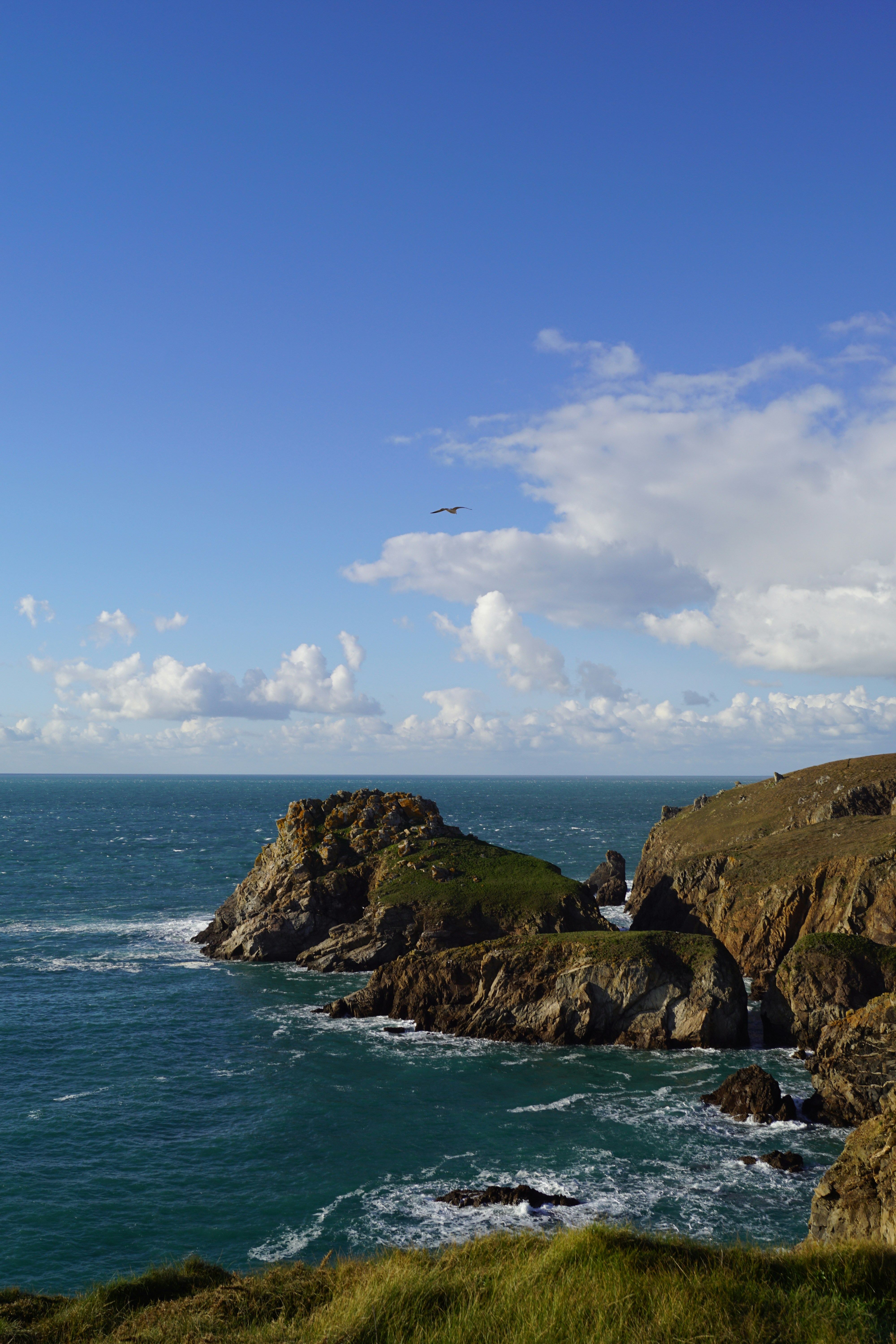 Photo by aurianeclem