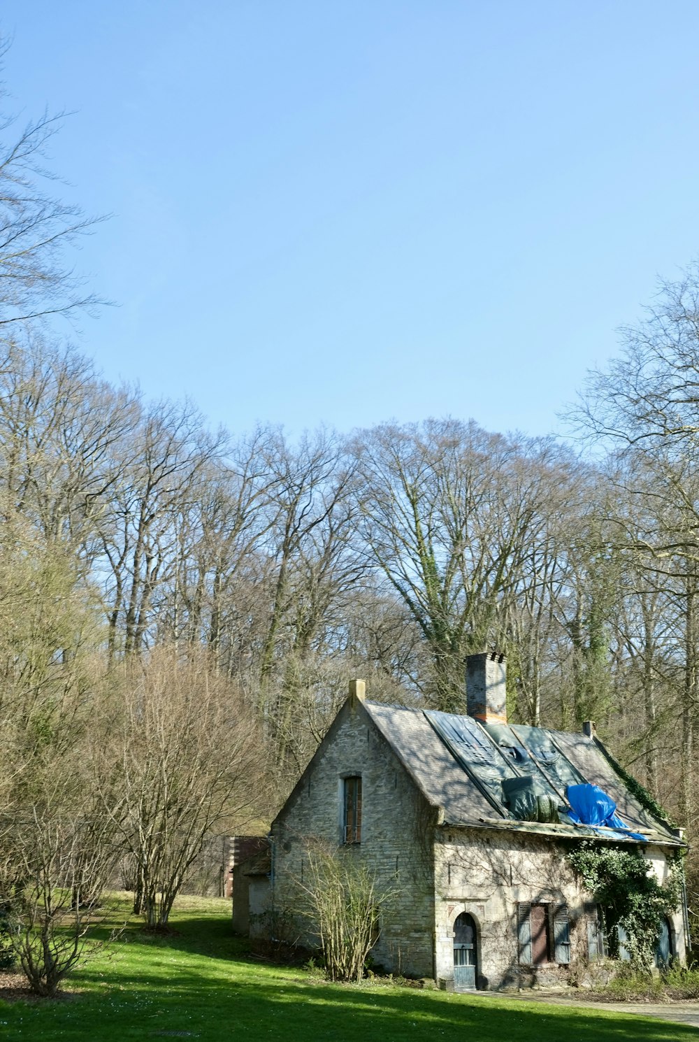 an old stone house in the middle of the woods