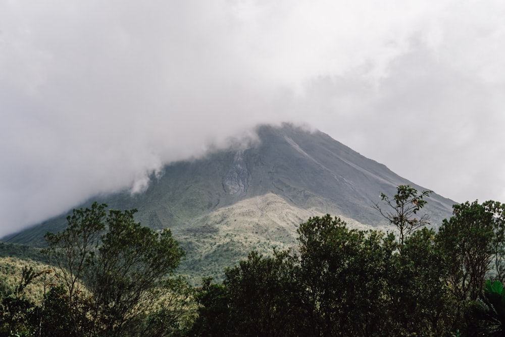 a very tall mountain covered in clouds and trees