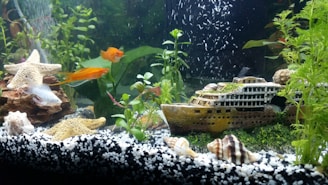 a fish tank filled with lots of different types of fish
