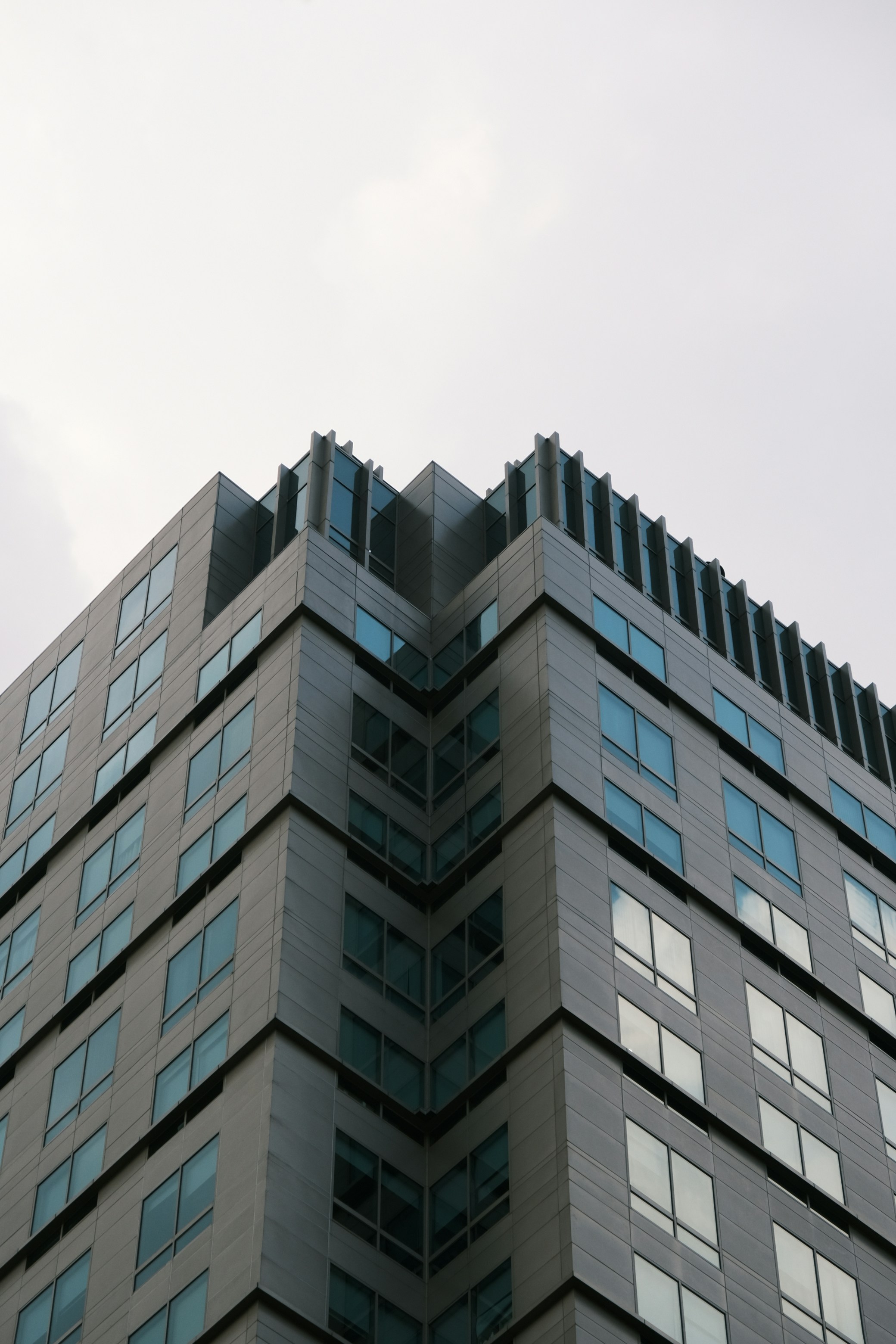 Entendiendo los Hitos de Comunicación en Niños Pequeños