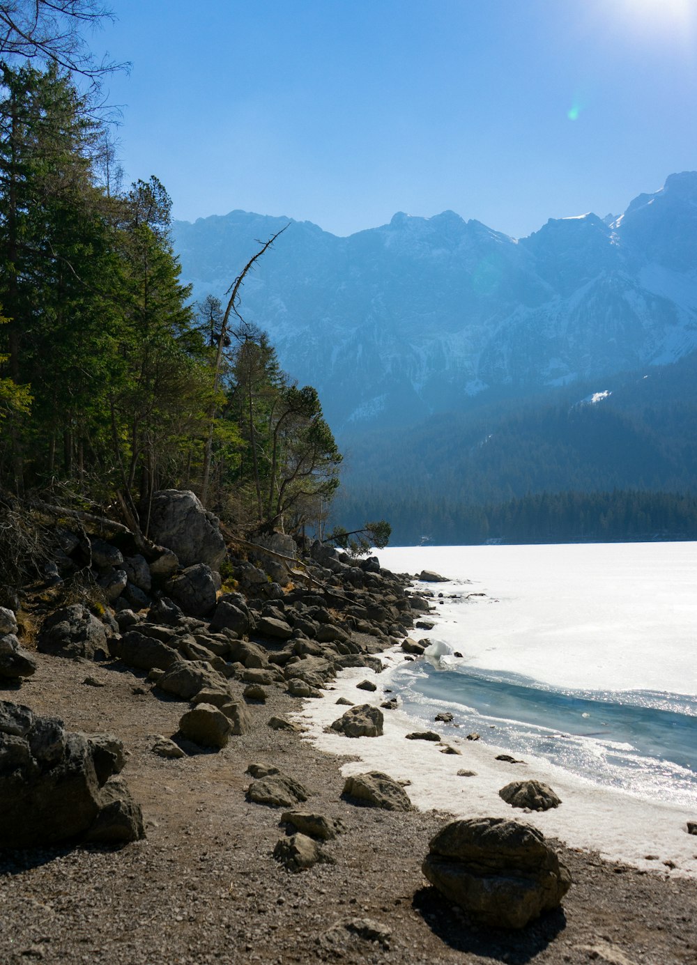 a rocky beach with trees and mountains in the background