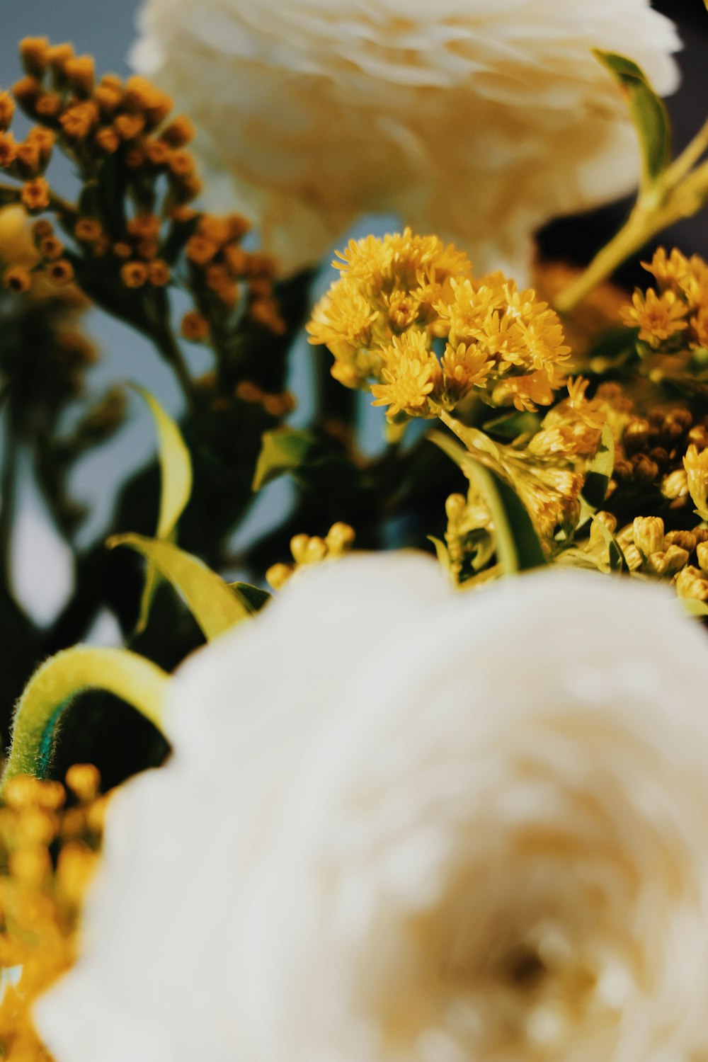 a close up of a bunch of flowers