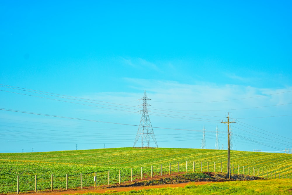 um campo verde com linhas de energia à distância