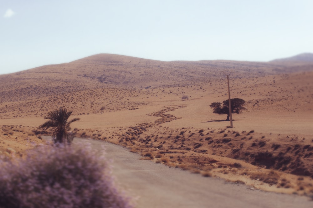 uma estrada de terra no meio de um deserto