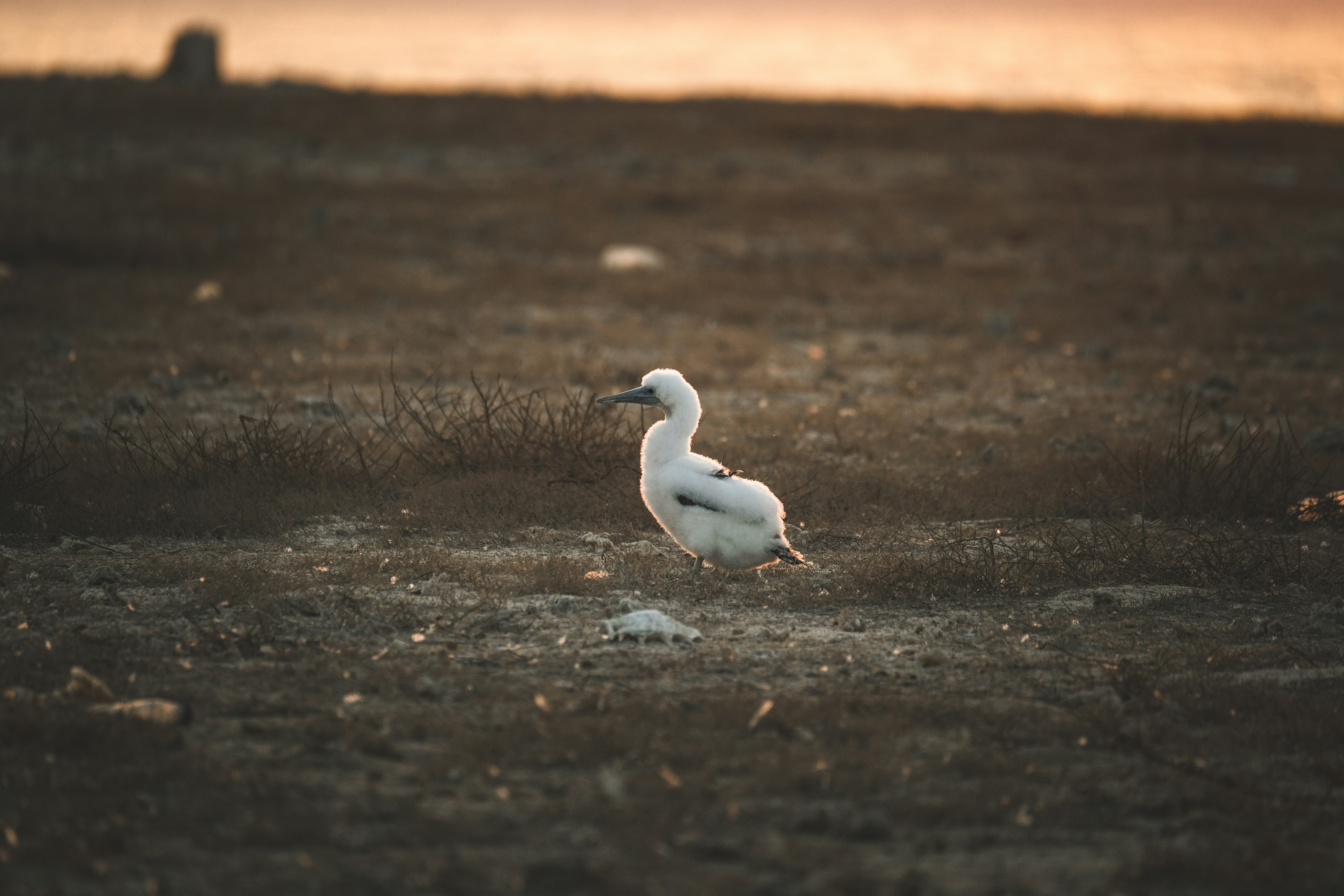 Photo by francesco_ungaro