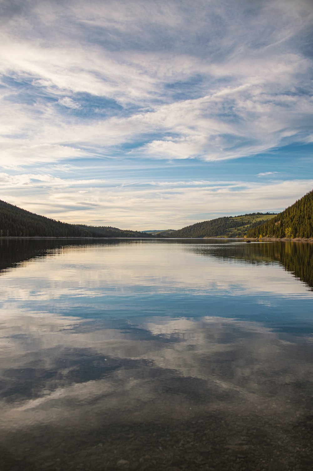 a large body of water surrounded by a forest