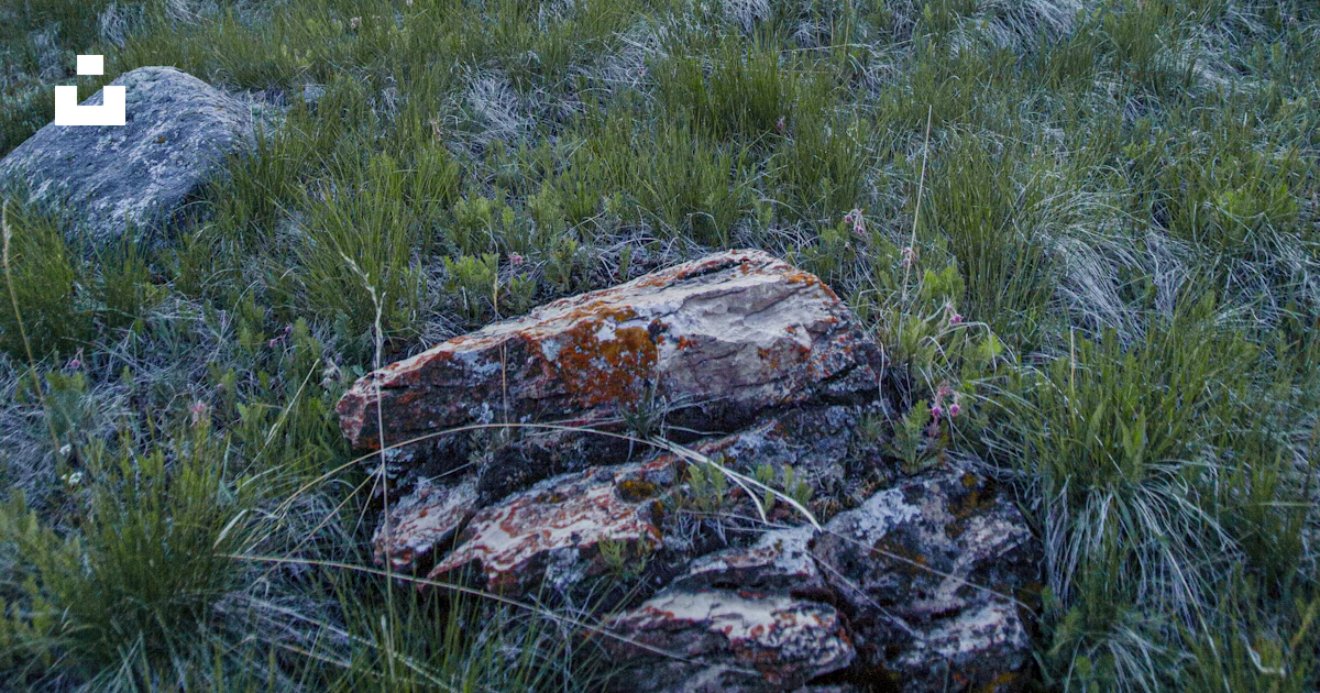 Fgrass Foeld Rocks A grassy field with a rock in the middle of it photo – Free Grass Image ...