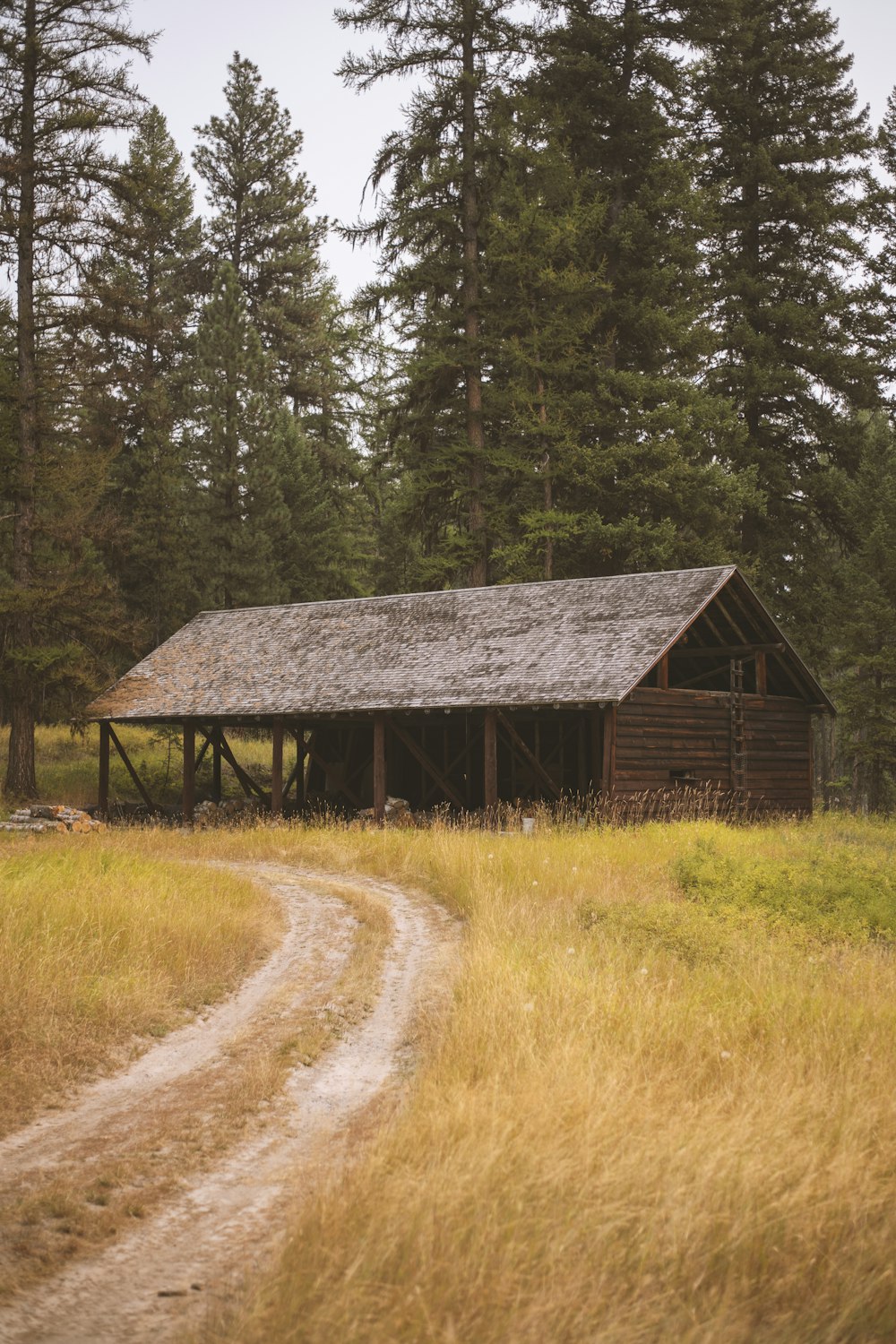 a dirt road passing by a small cabin in the woods