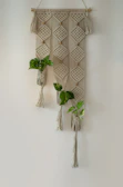 Boho macrame wall art hanging in a sunlit room with plants around.