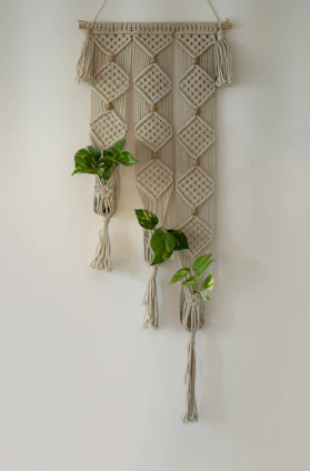 Close-up of handwoven macrame knots hanging against a softly lit wall with natural wooden shelves and green plants.
