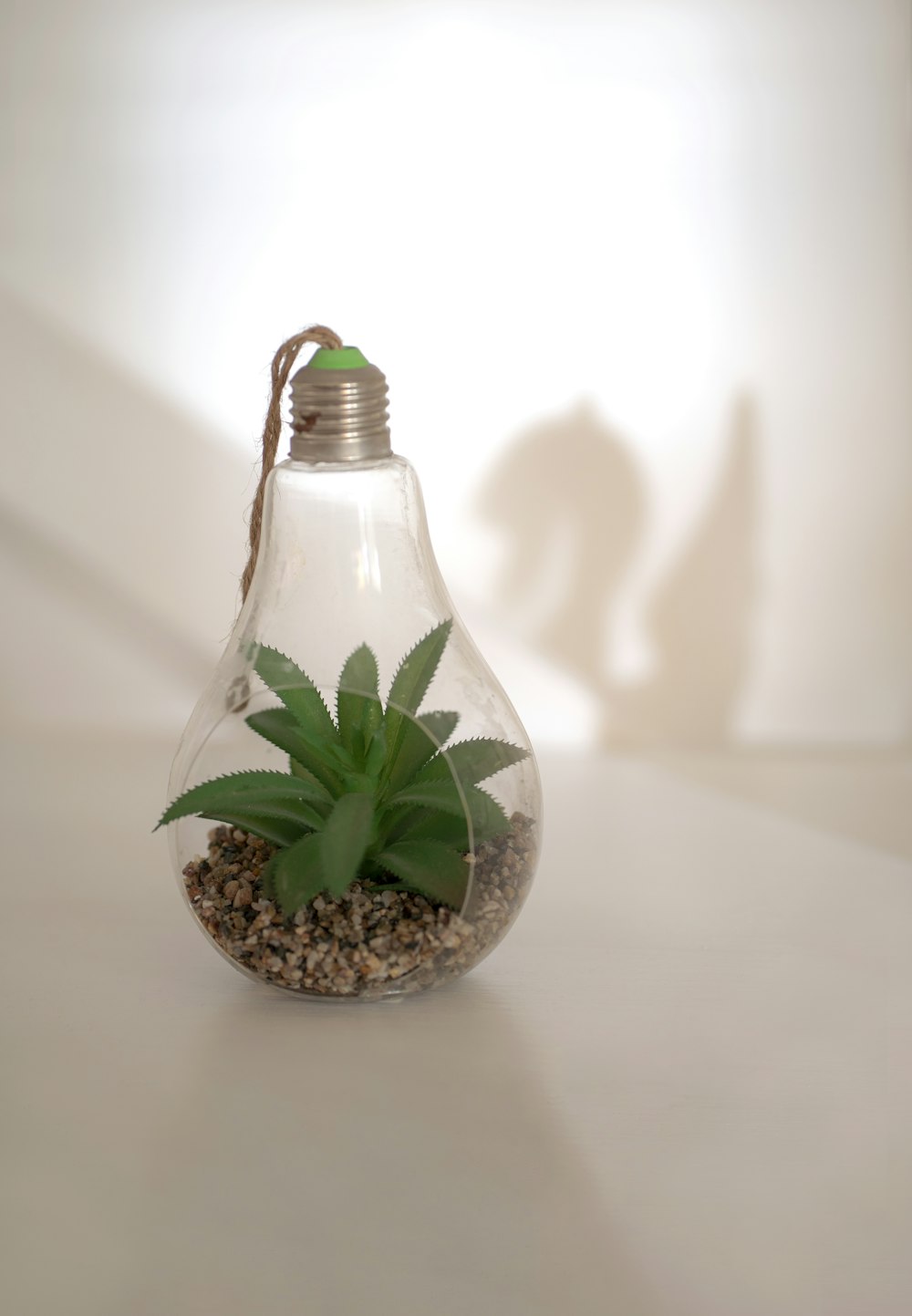 a vase sitting on a table