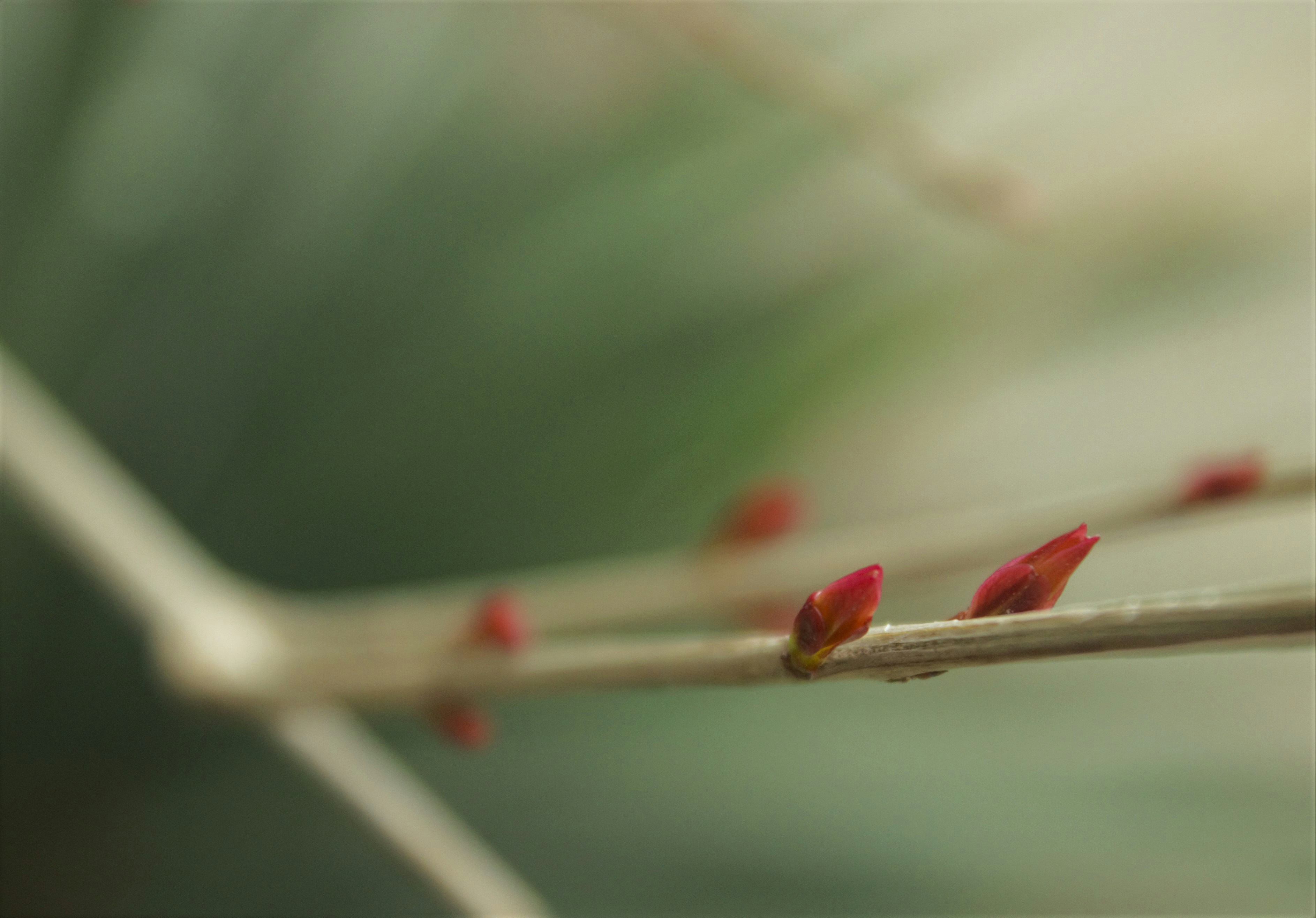 Photo by mohamadreza1383