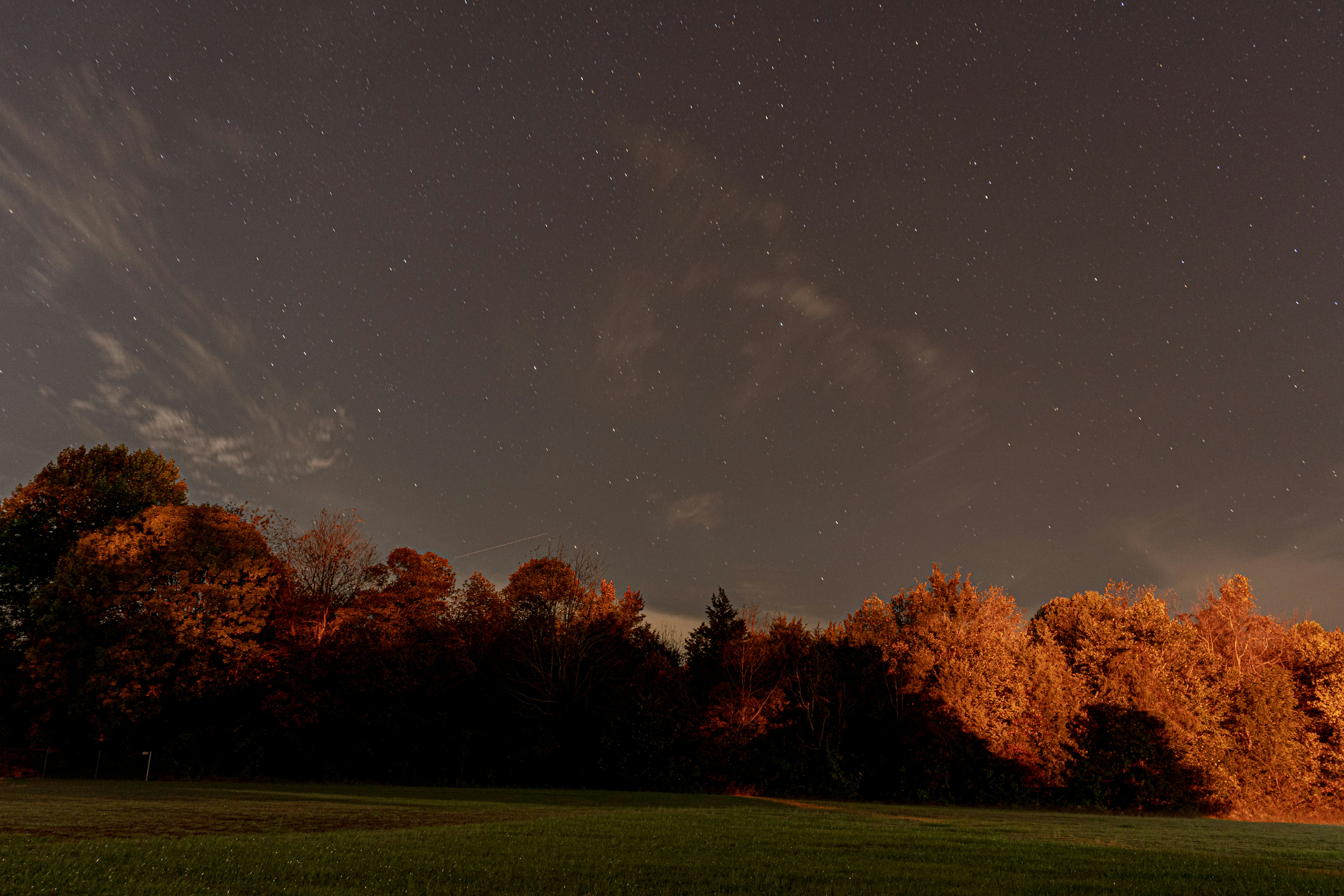 Ein Feld mit Bäumen und einem Himmel voller Sterne