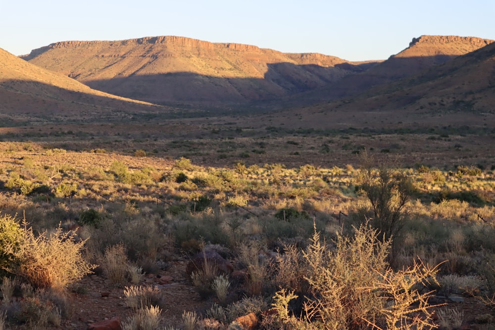 a desert landscape with mountains in the background