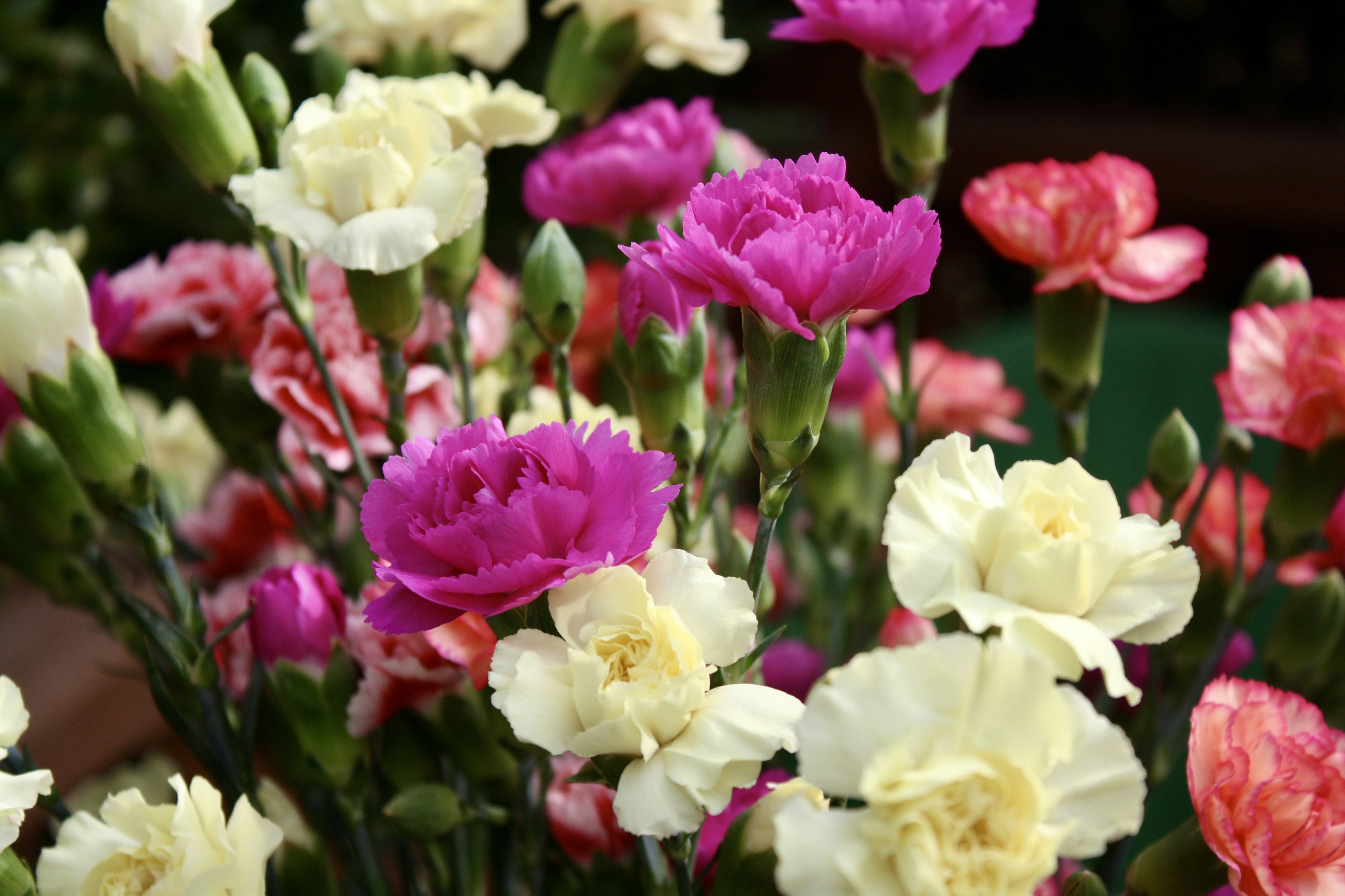 Photo by 1photos_by_e1