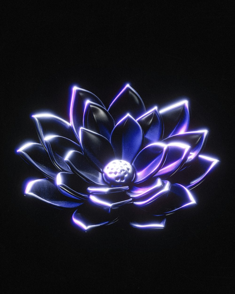 a blue and purple flower on a black background