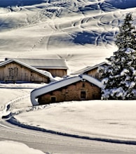 a snowy landscape with a house and a tree