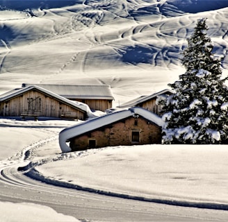 a snowy landscape with a house and a tree