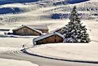 a snowy landscape with a house and a tree