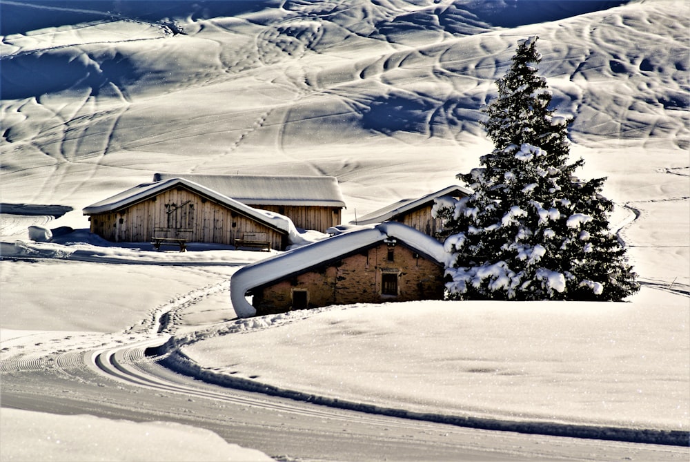 a snowy landscape with a house and a tree