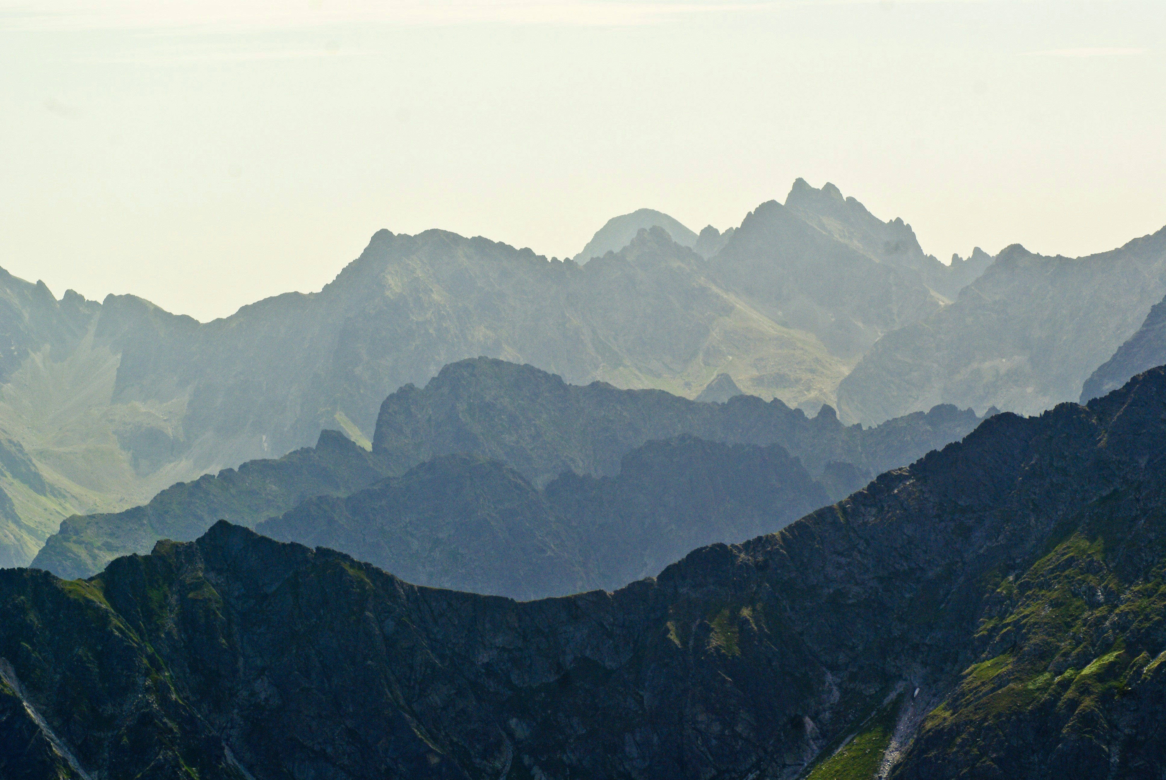 Photo by piotrfotodigital