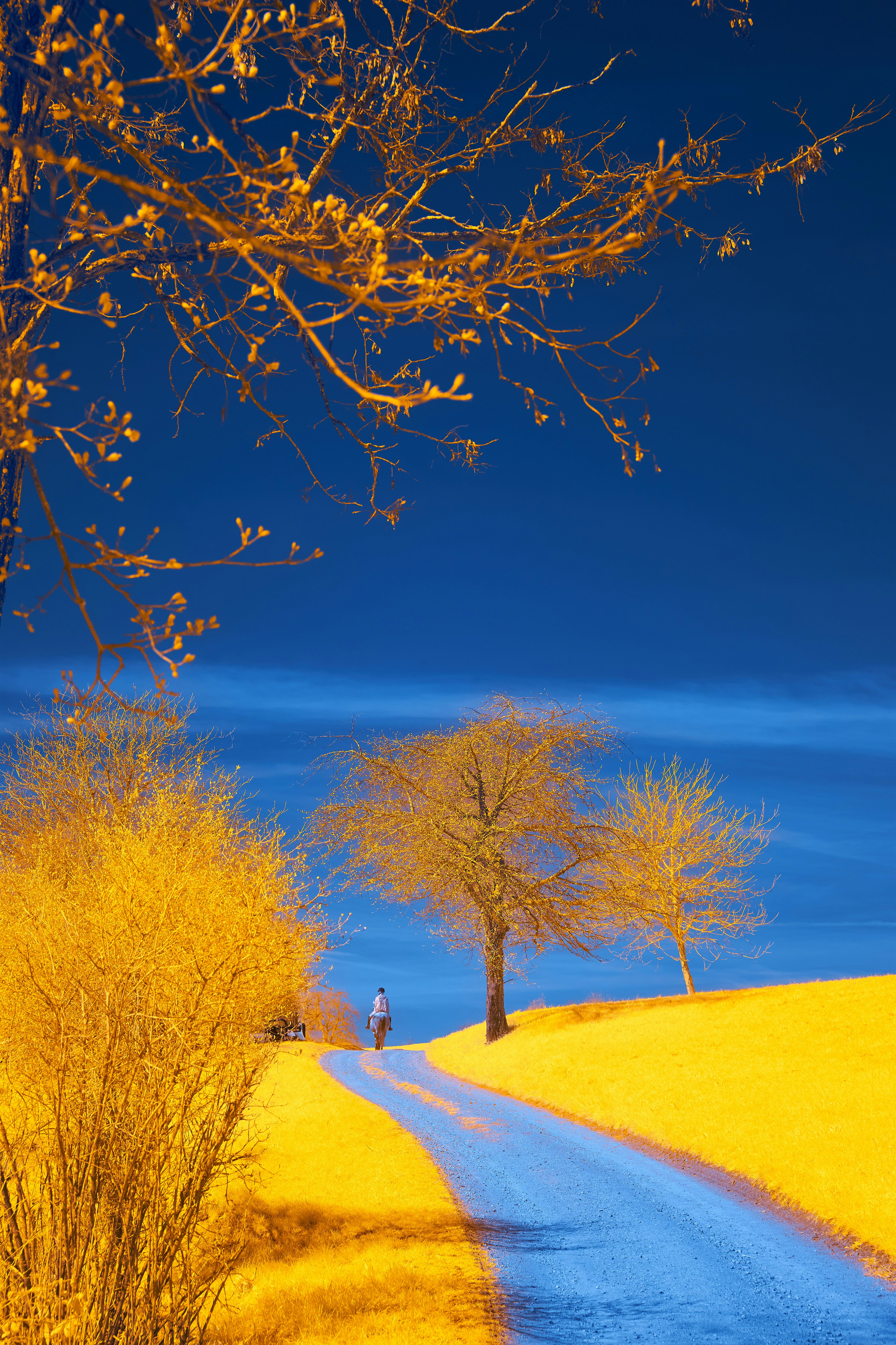 Photo by wolfgang_hasselmann