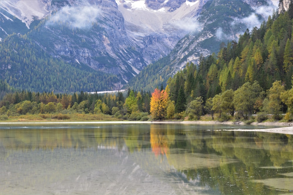 a body of water surrounded by mountains and trees