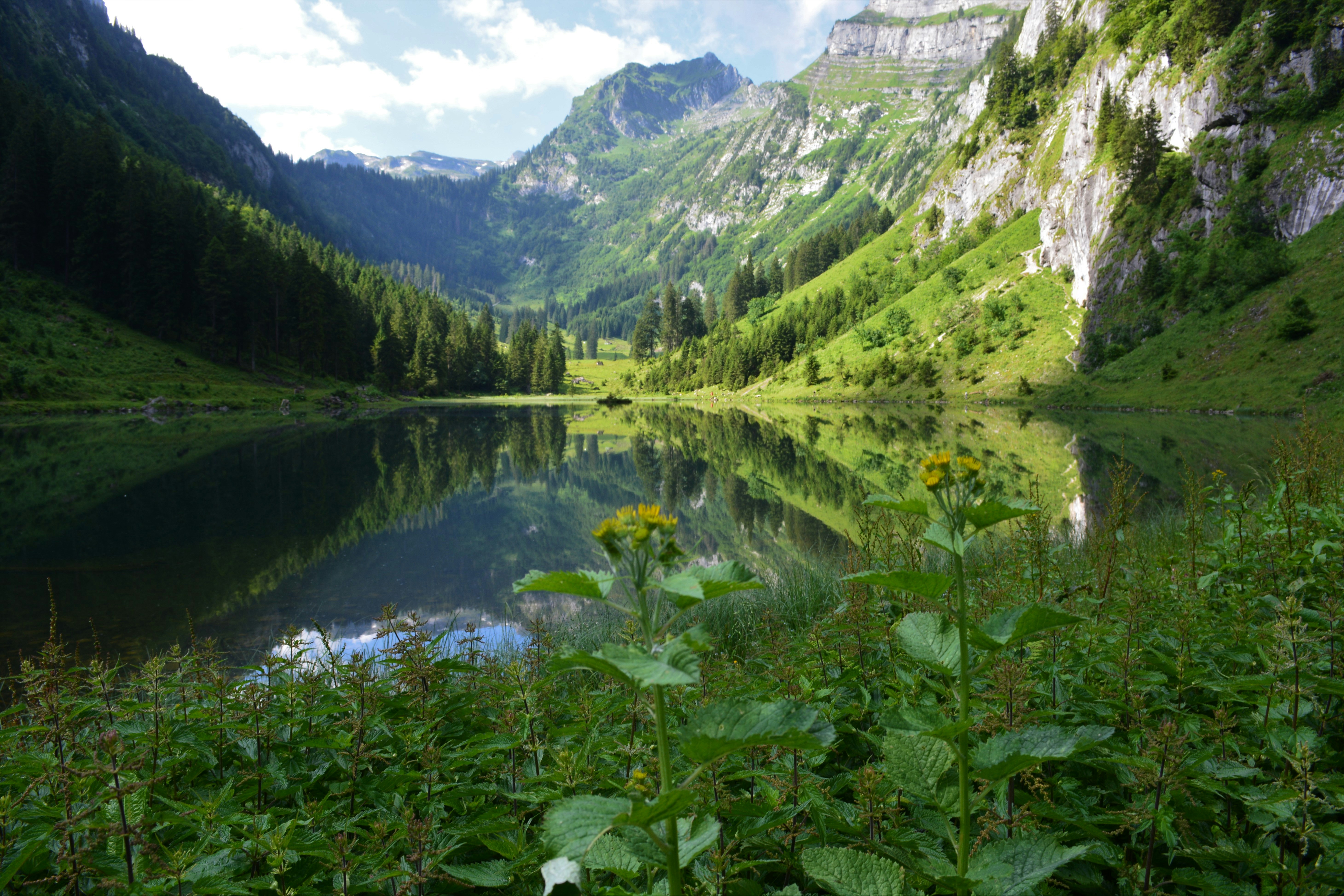 Photo by pedrino5_official