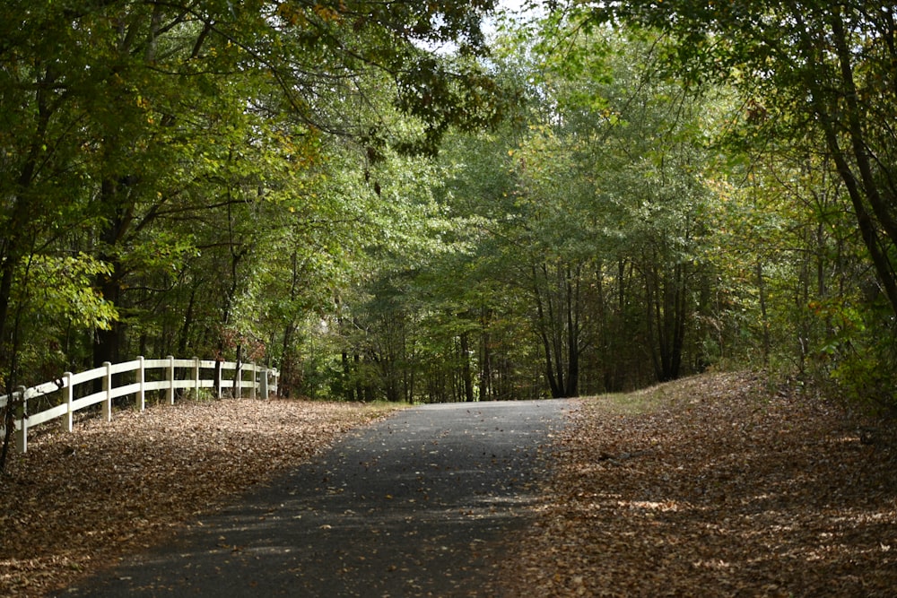 a road with a white fence surrounded by trees