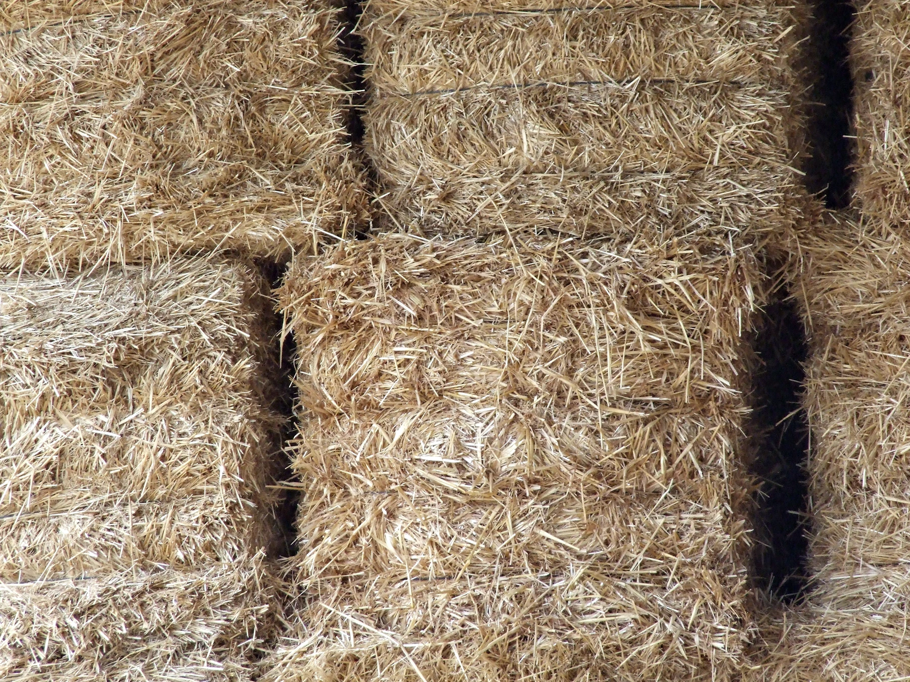 Close view of rectangular straw bales stacked tight, seen end-on