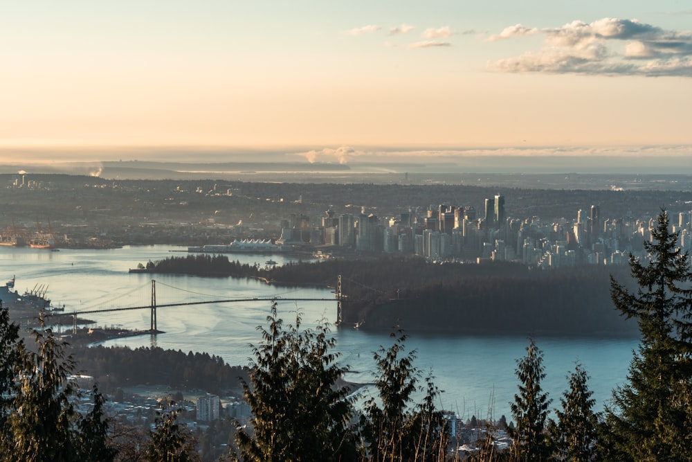 a view of a city and a bridge from a hill