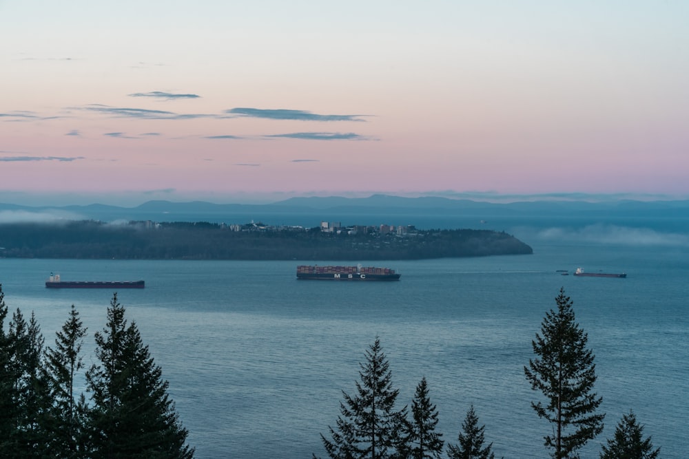 a view of a body of water with a ship in the distance