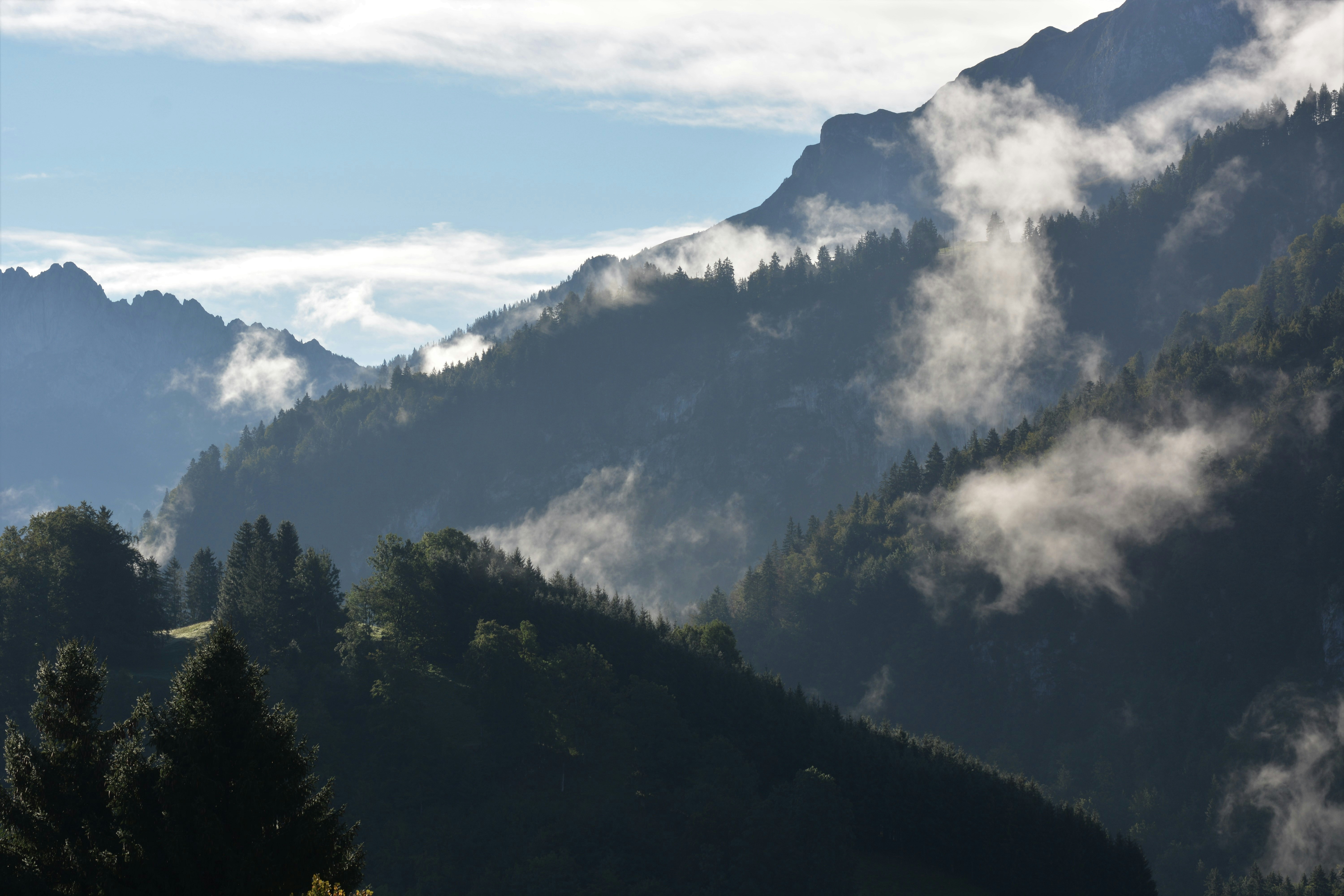 Photo by pedrino5_official