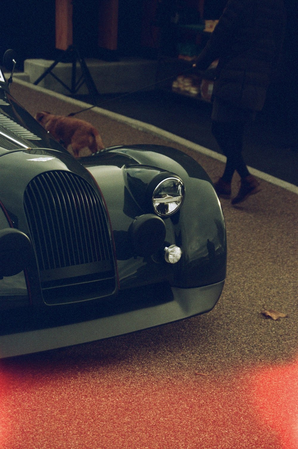 a dog laying on the floor of a car