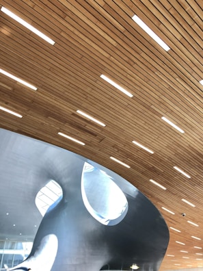 A modern architectural interior featuring a curved wooden ceiling with integrated lighting. Below the ceiling, a futuristic structure with smooth, metallic surfaces and circular openings is visible. Natural light enters through large windows, creating a bright and airy atmosphere.