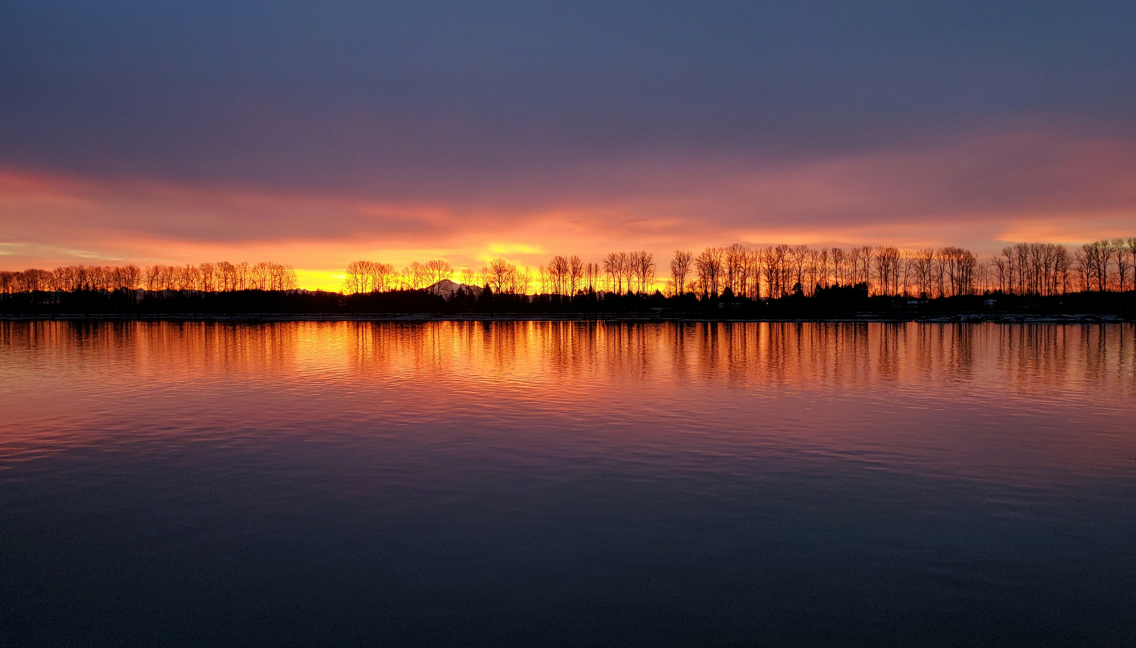 Photo by andreiantica