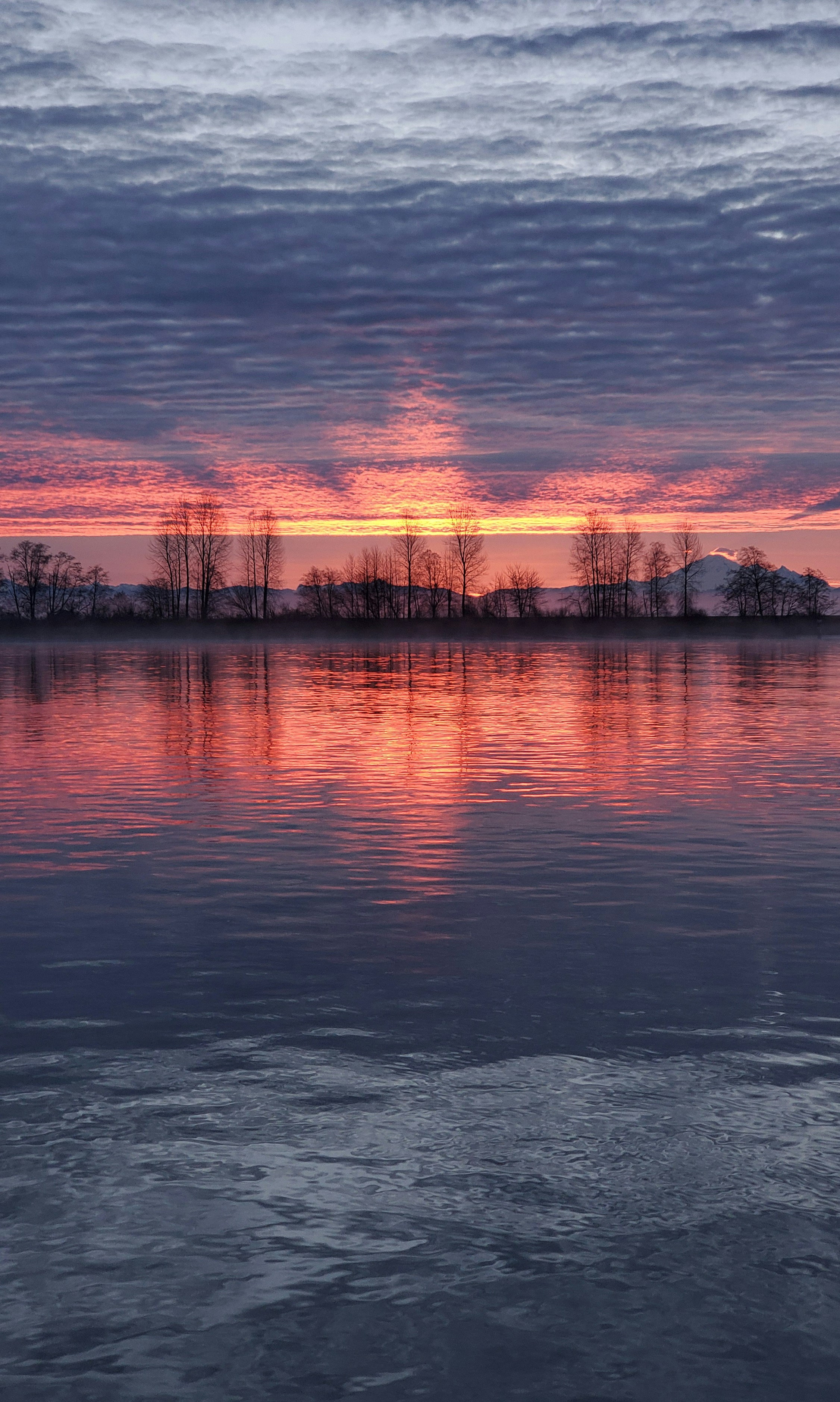 Photo by andreiantica