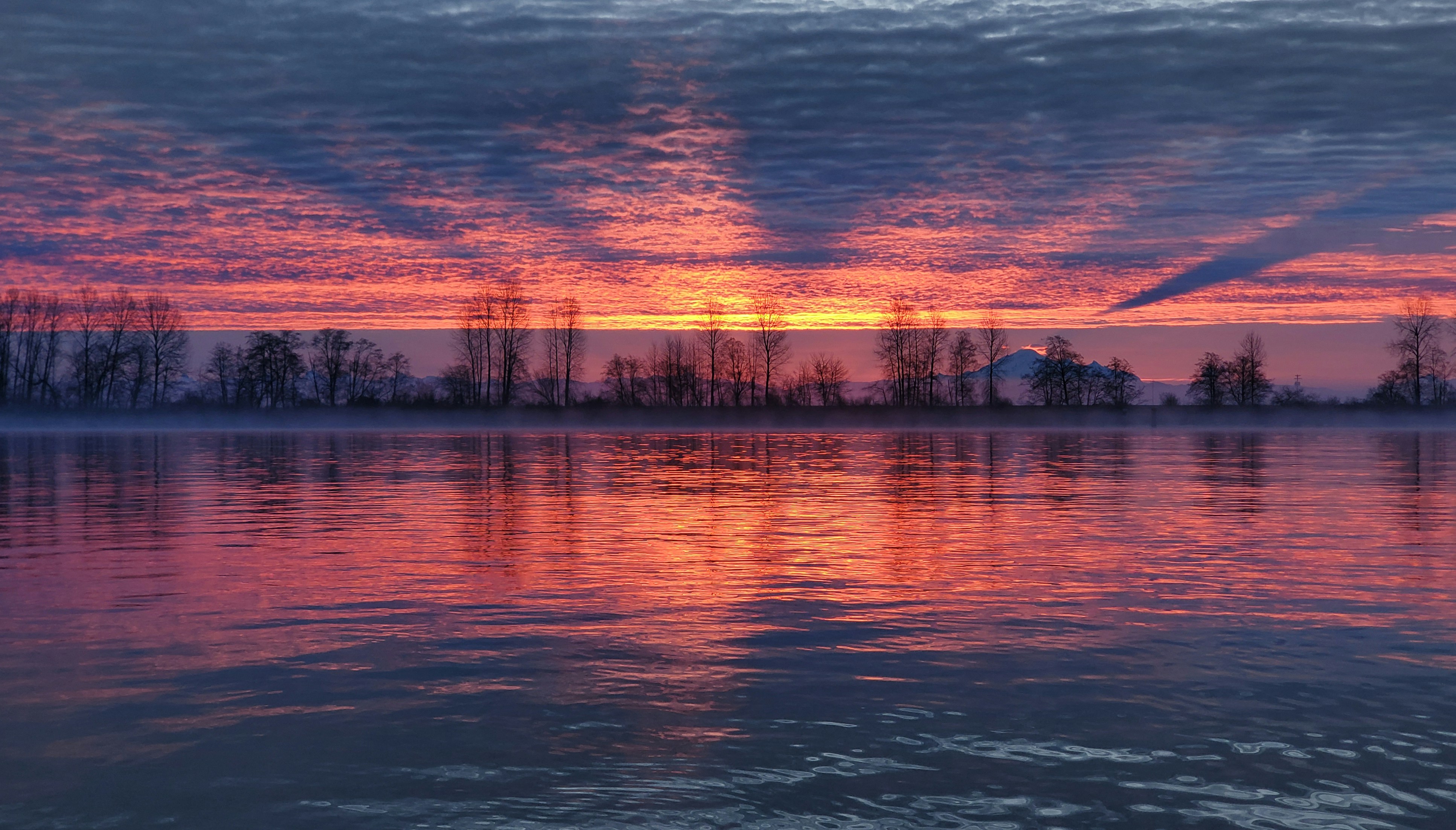 Photo by andreiantica