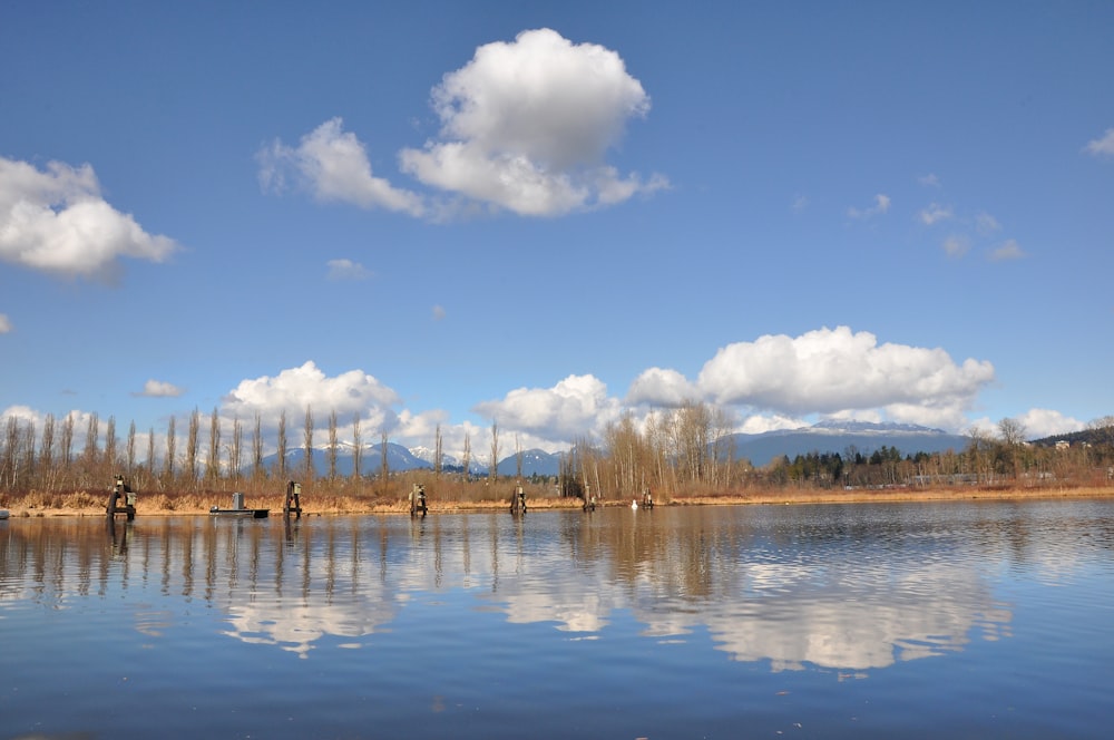 a body of water surrounded by trees and clouds