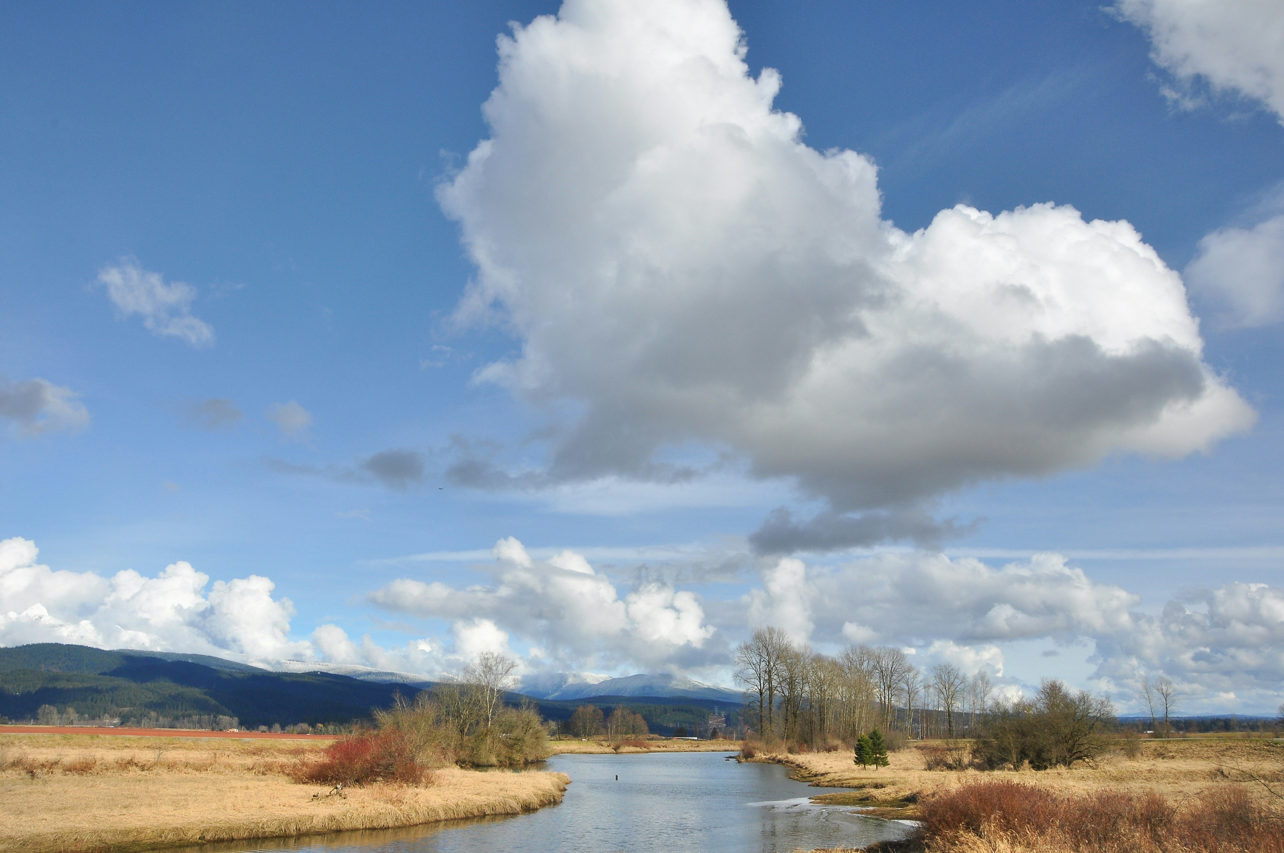 Photo by andreiantica