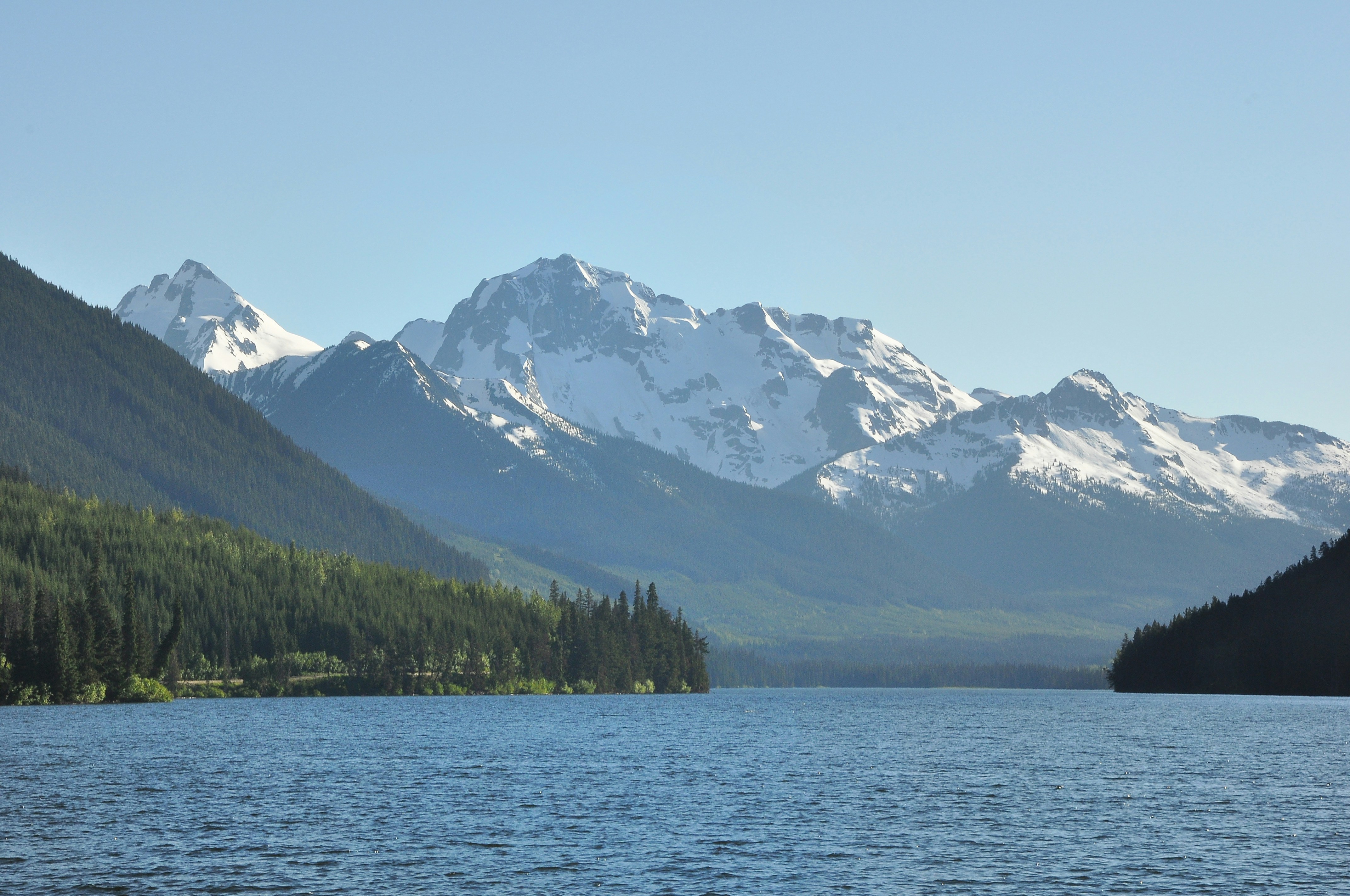 Photo by andreiantica