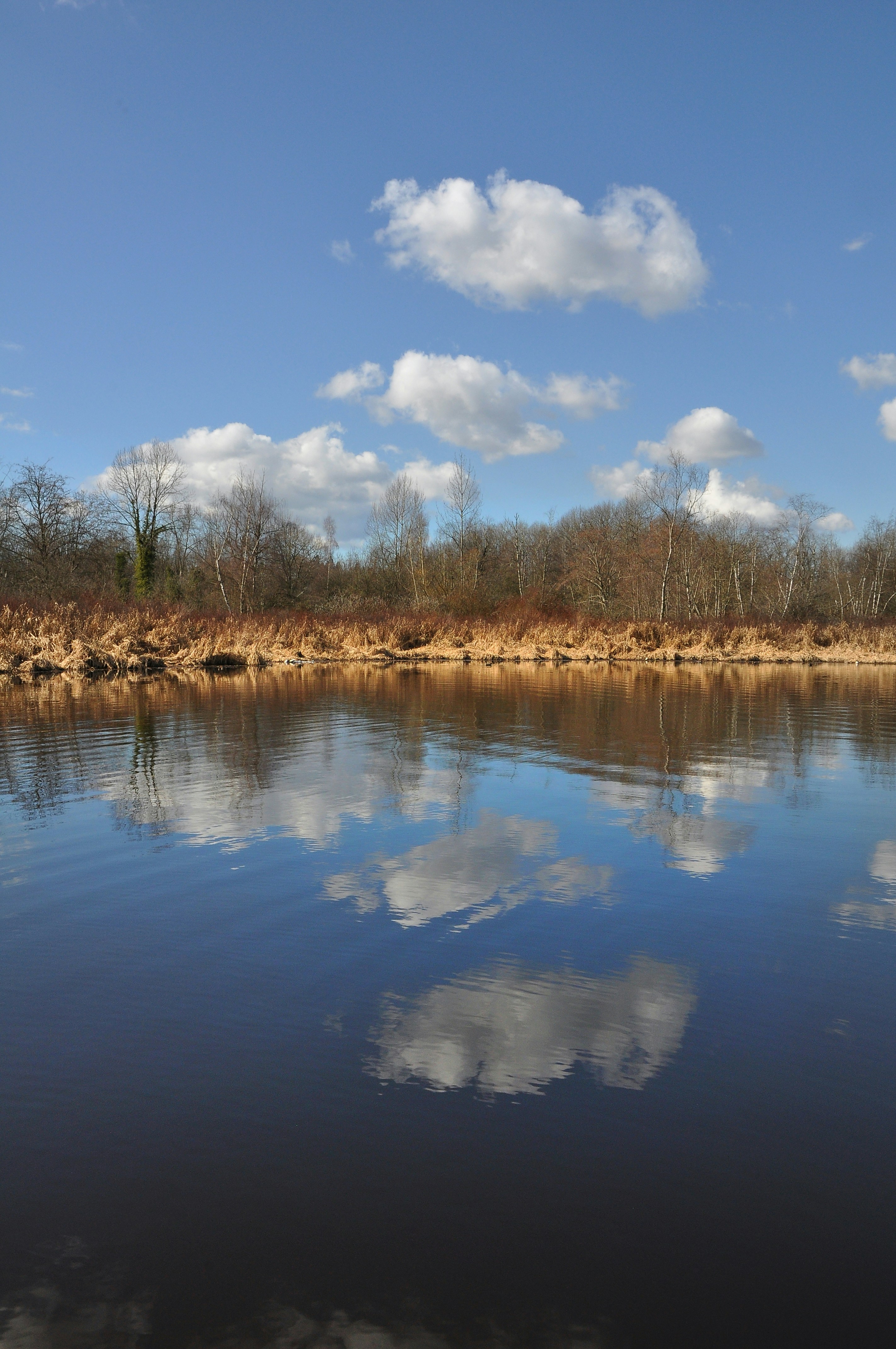 Photo by andreiantica