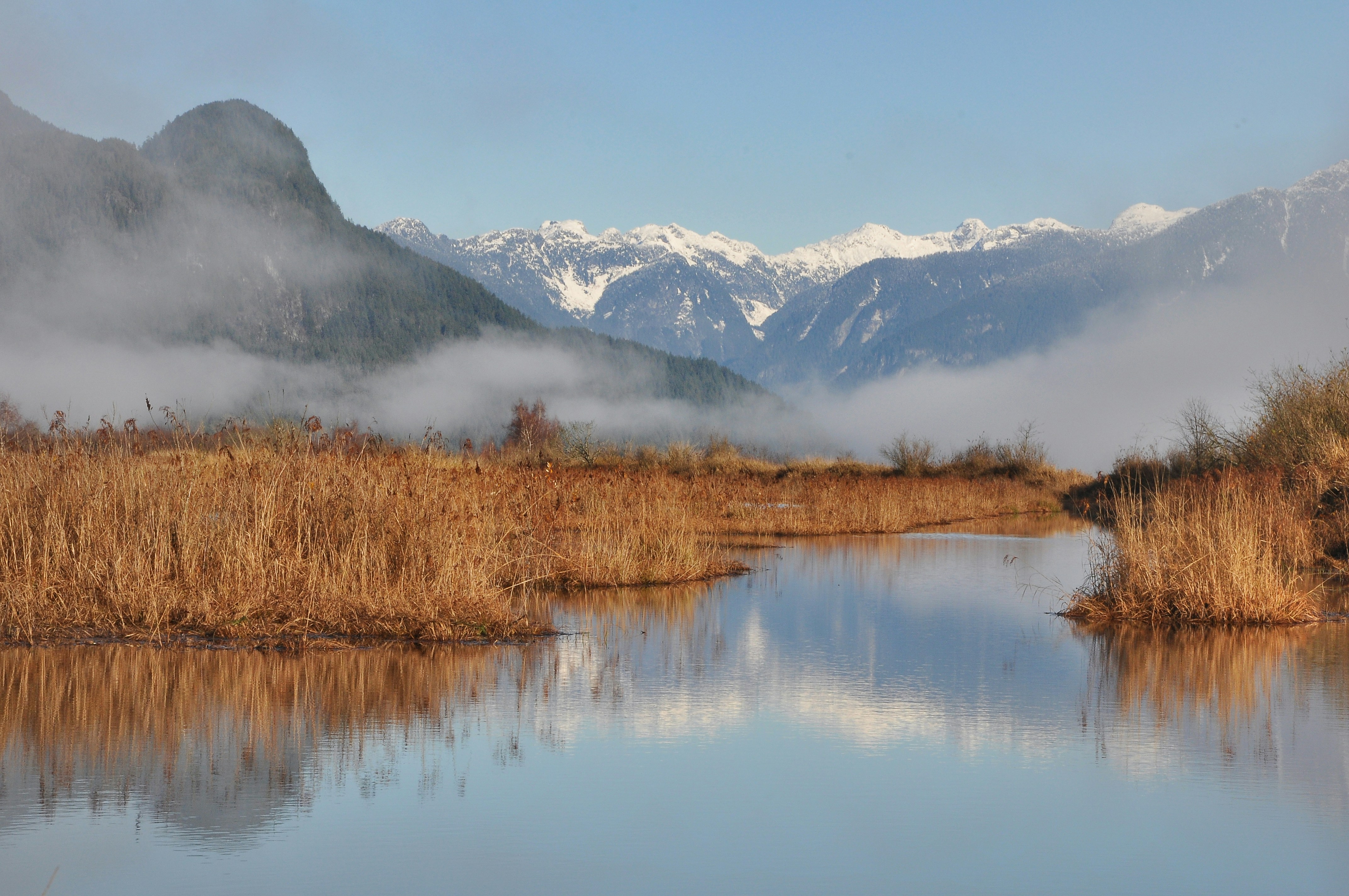 Photo by andreiantica