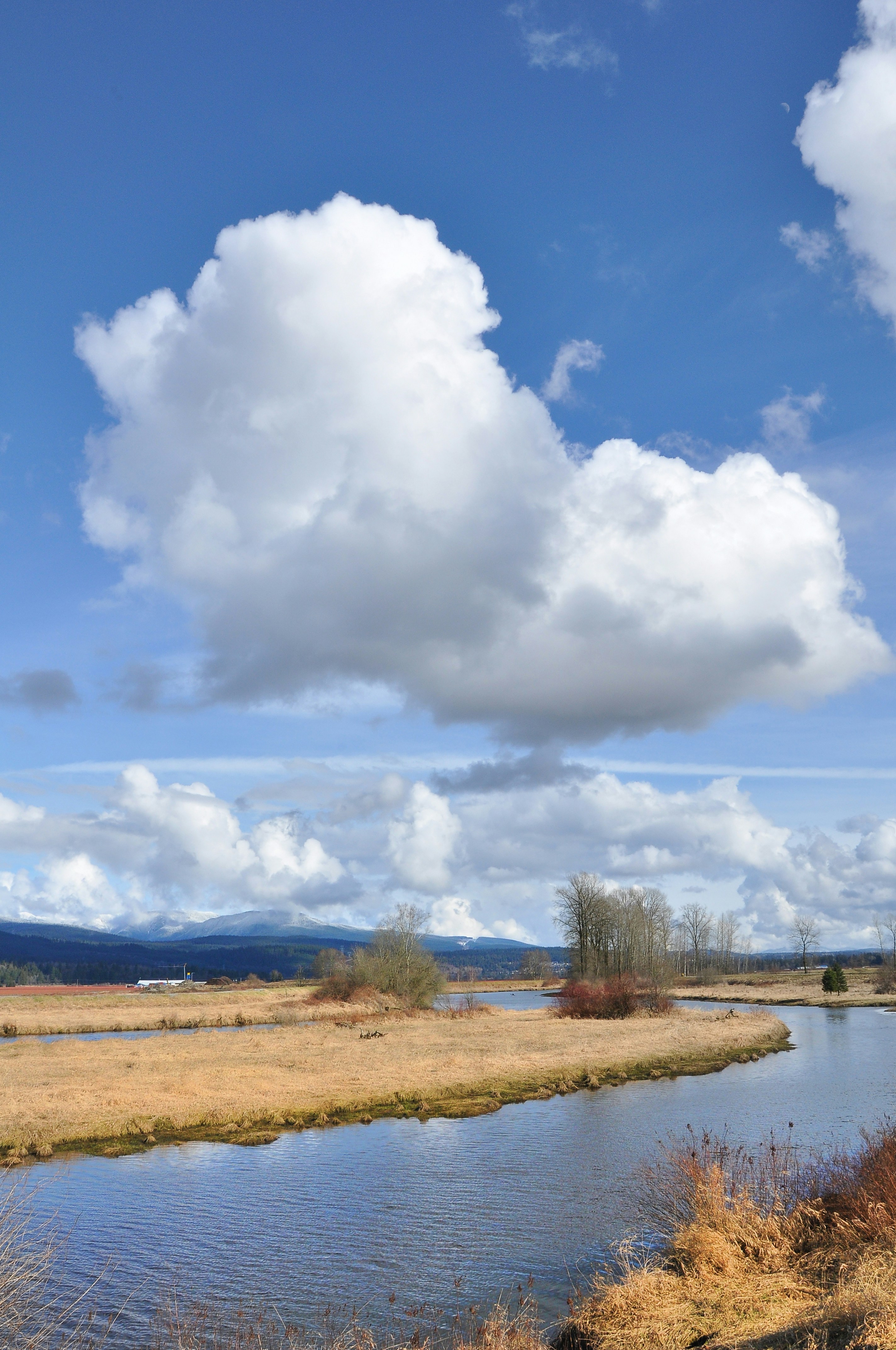 Photo by andreiantica