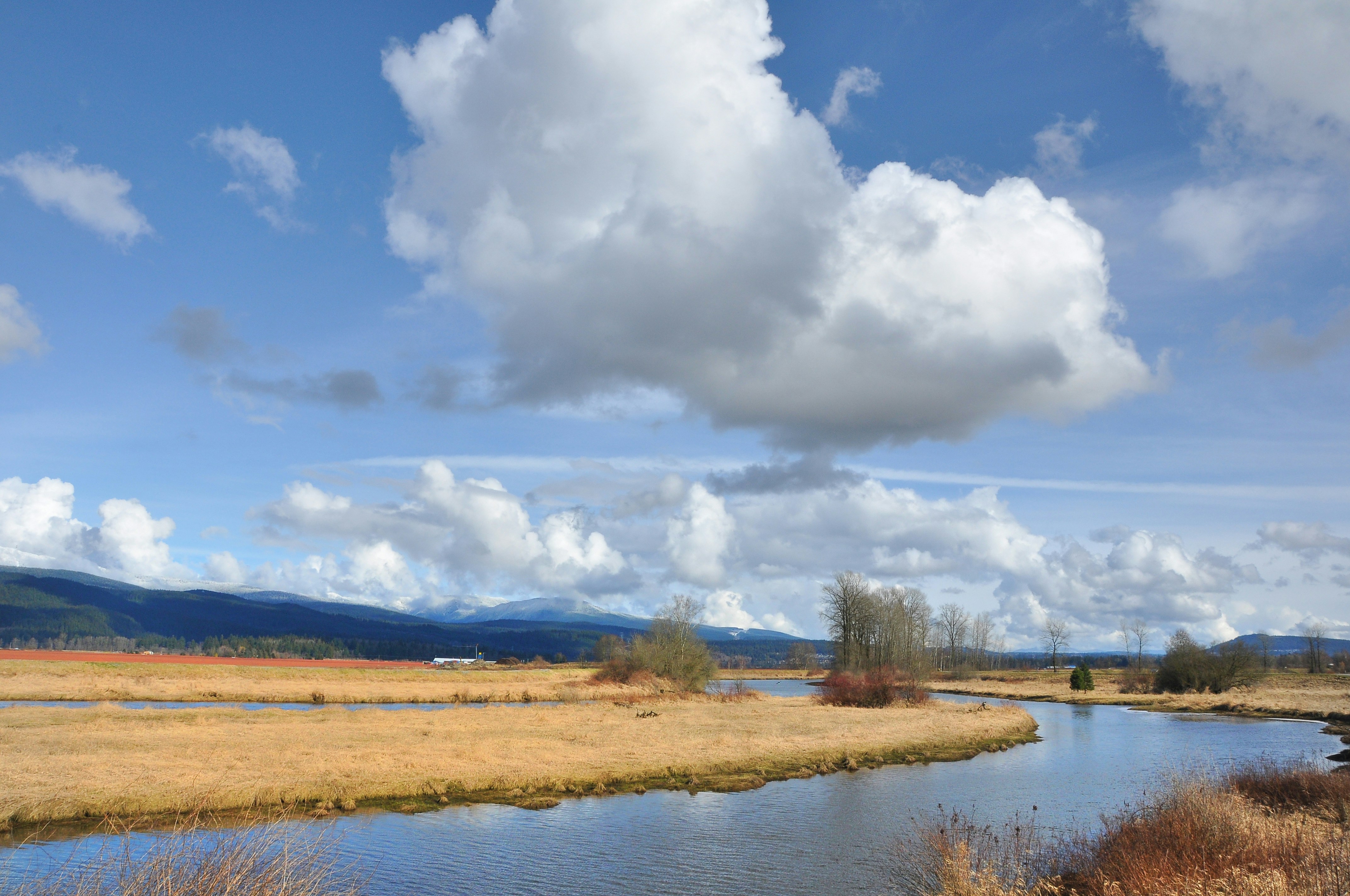 Photo by andreiantica