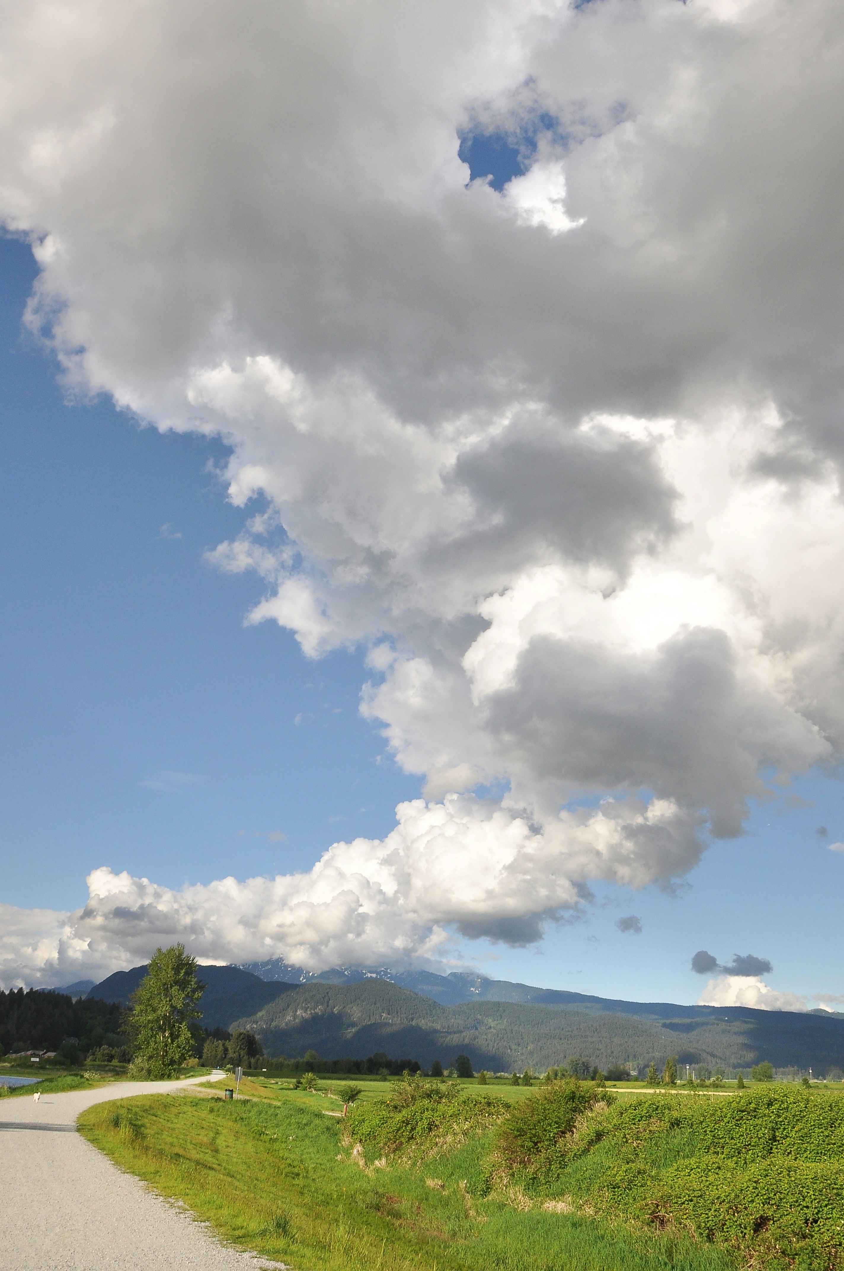 Photo by andreiantica